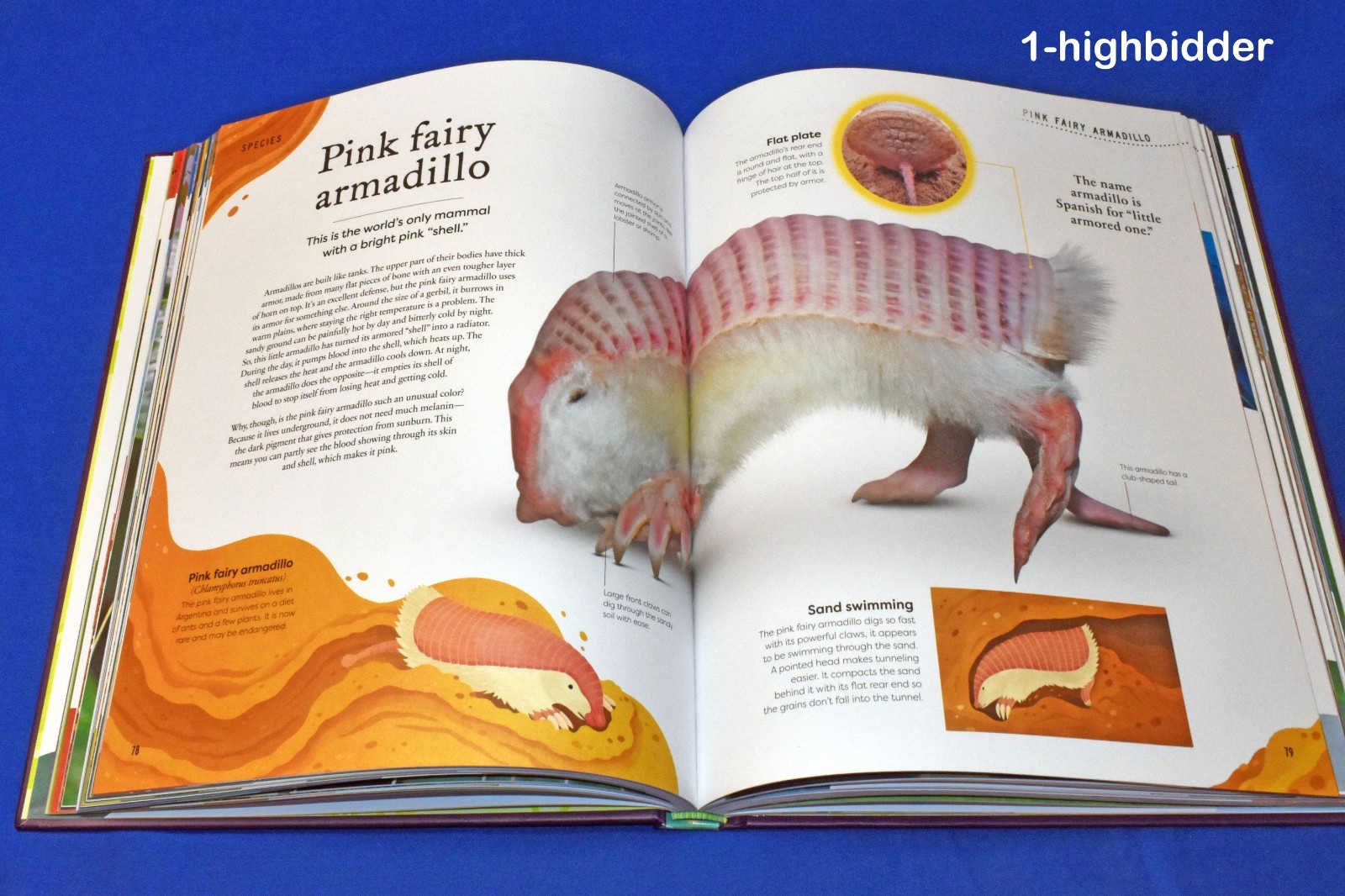 Weird and Wonderful Nature DK Treasures Kids Science Unique Plants Animals