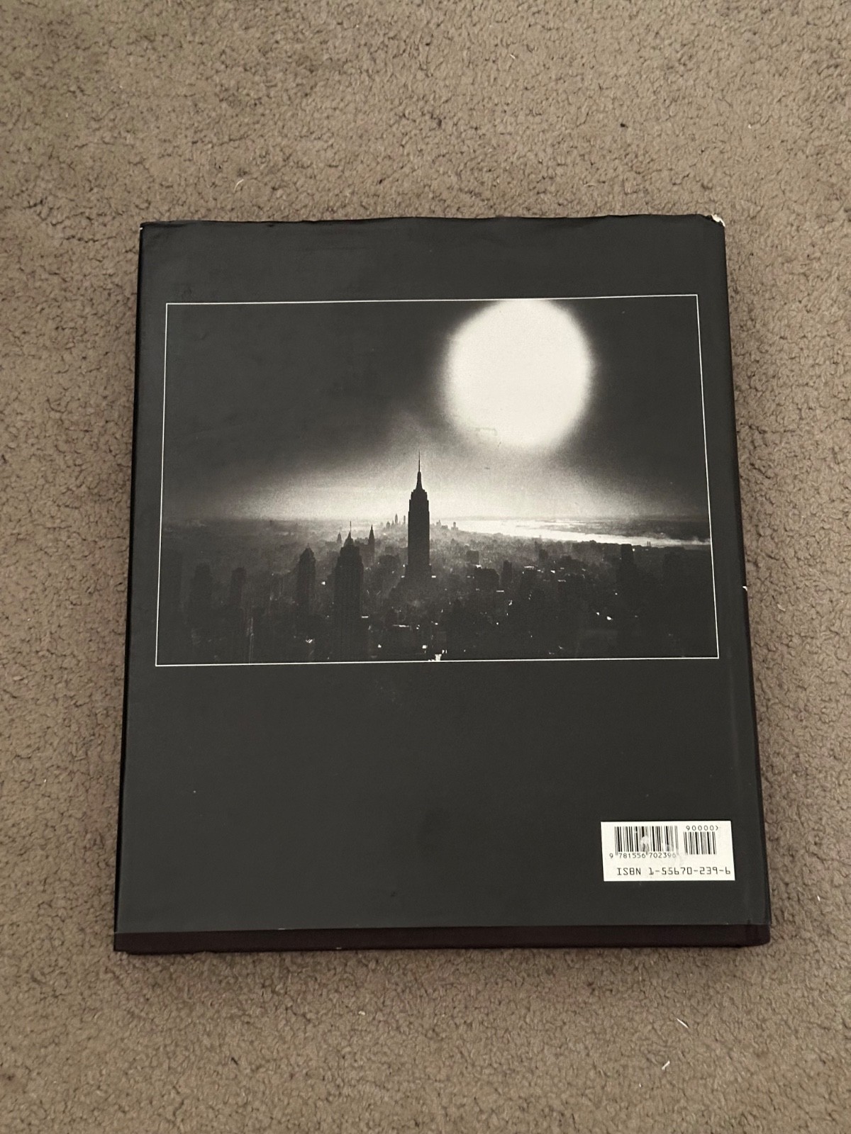 Jane Livingston The New York School: Photographs, 1936-1963