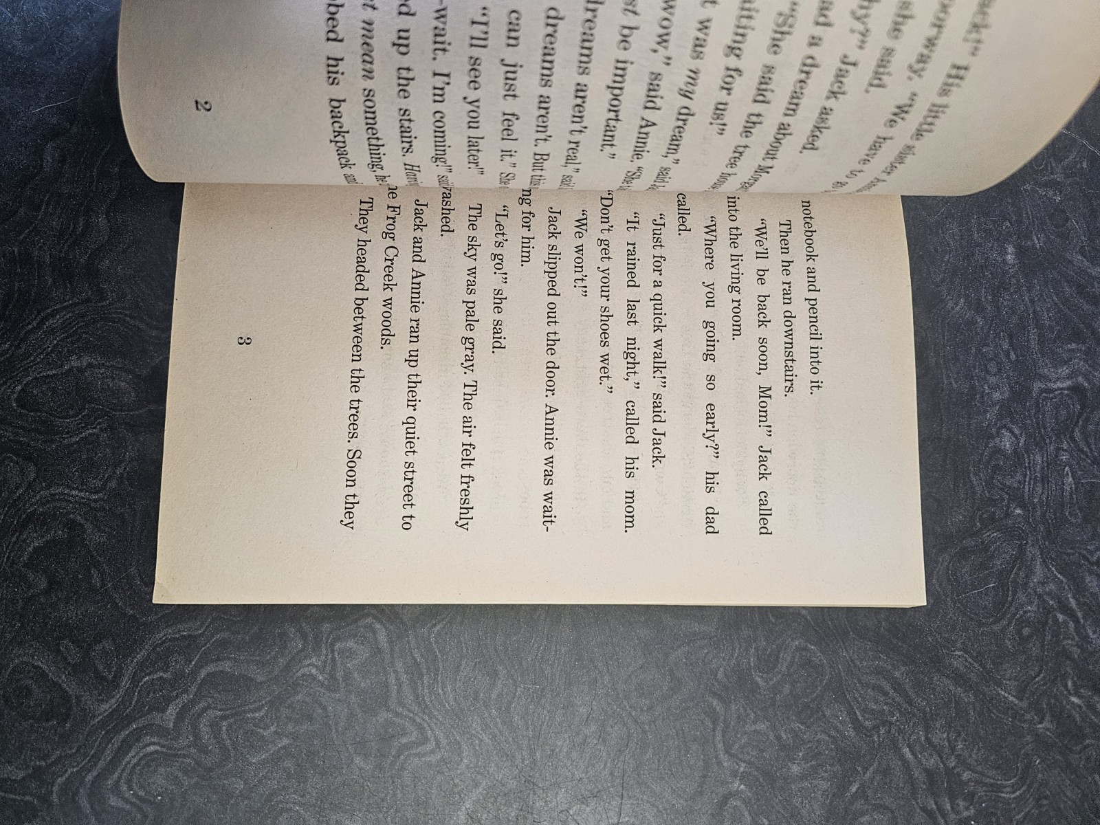 Dolphins at Daybreak by Mary Pope Osborne (1997, Trade Paperback)