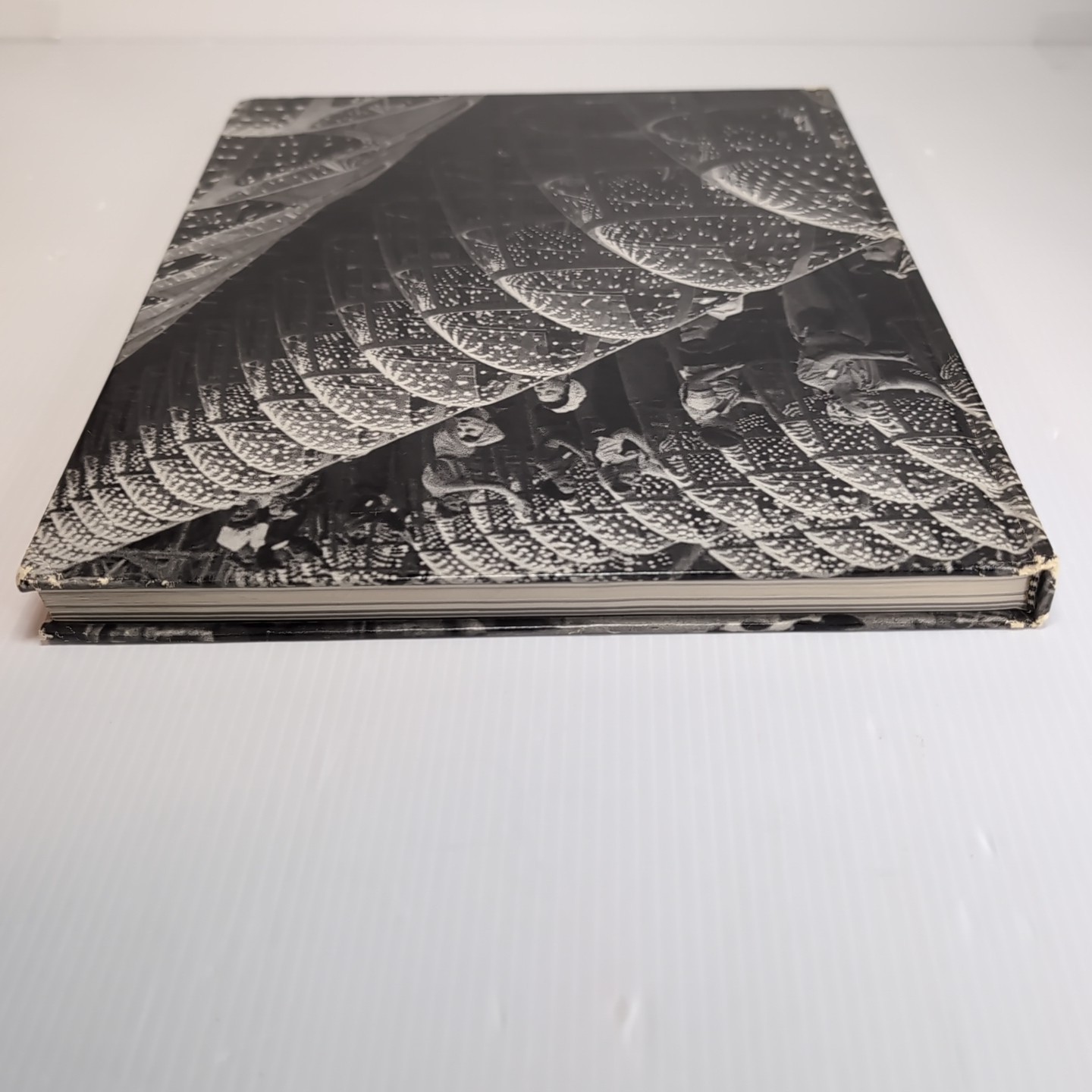 Home Front USA Time Life Book World War II Series Ronald H Bailey Illustrated HC