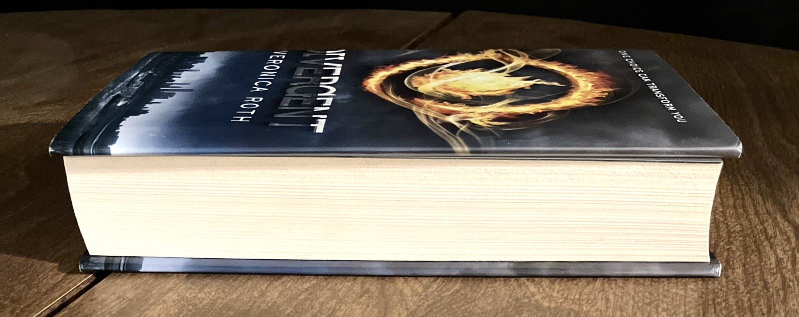 Veronica Roth, Divergent, 1st Edition, Poster, Hardcover, LIKE NEW (920)
