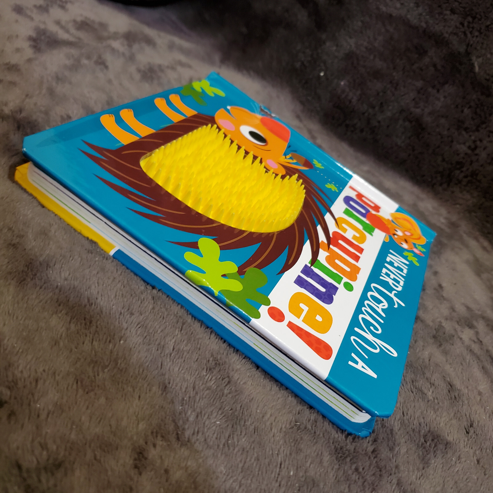 Never Touch a Porcupine! by Rosie Greening Hardcover