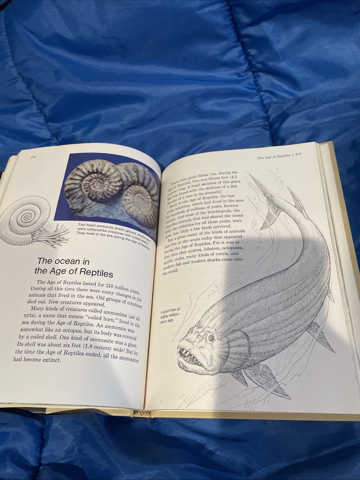 Childcraft Annual 1976 Prehistoric Animals – How and why Library