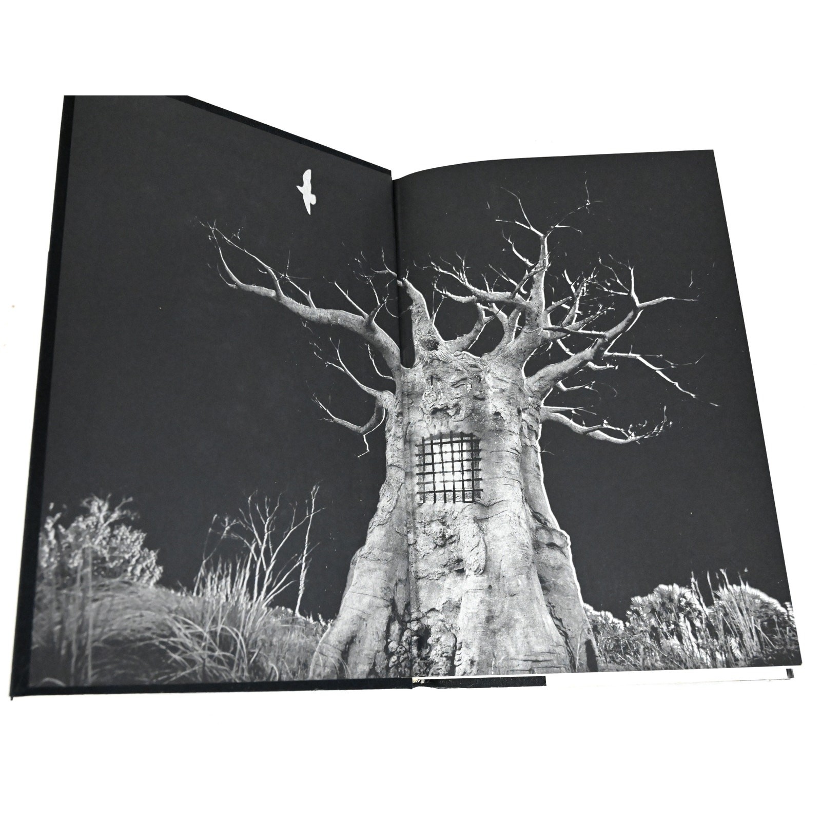 Stephen King ‘Salem’s Lot 1st Illustrated Edition Doubleday