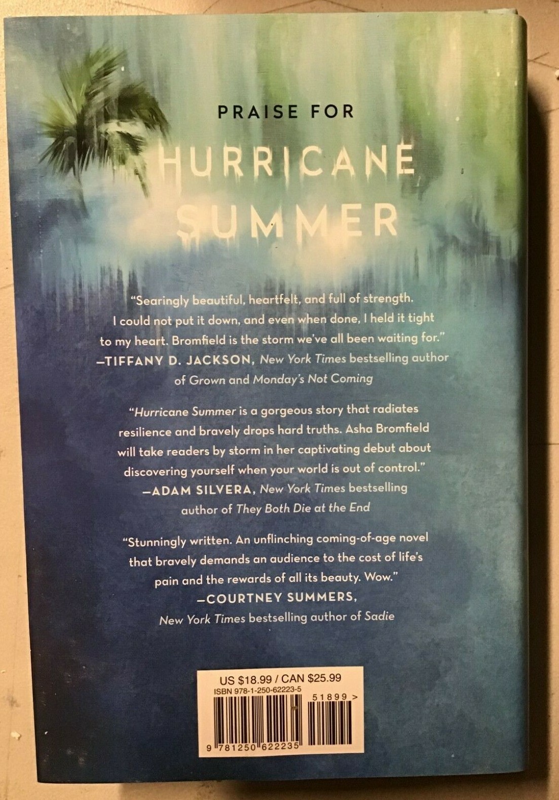 Hurricane Summer – by Asha Bromfield (Hardcover) – NEW