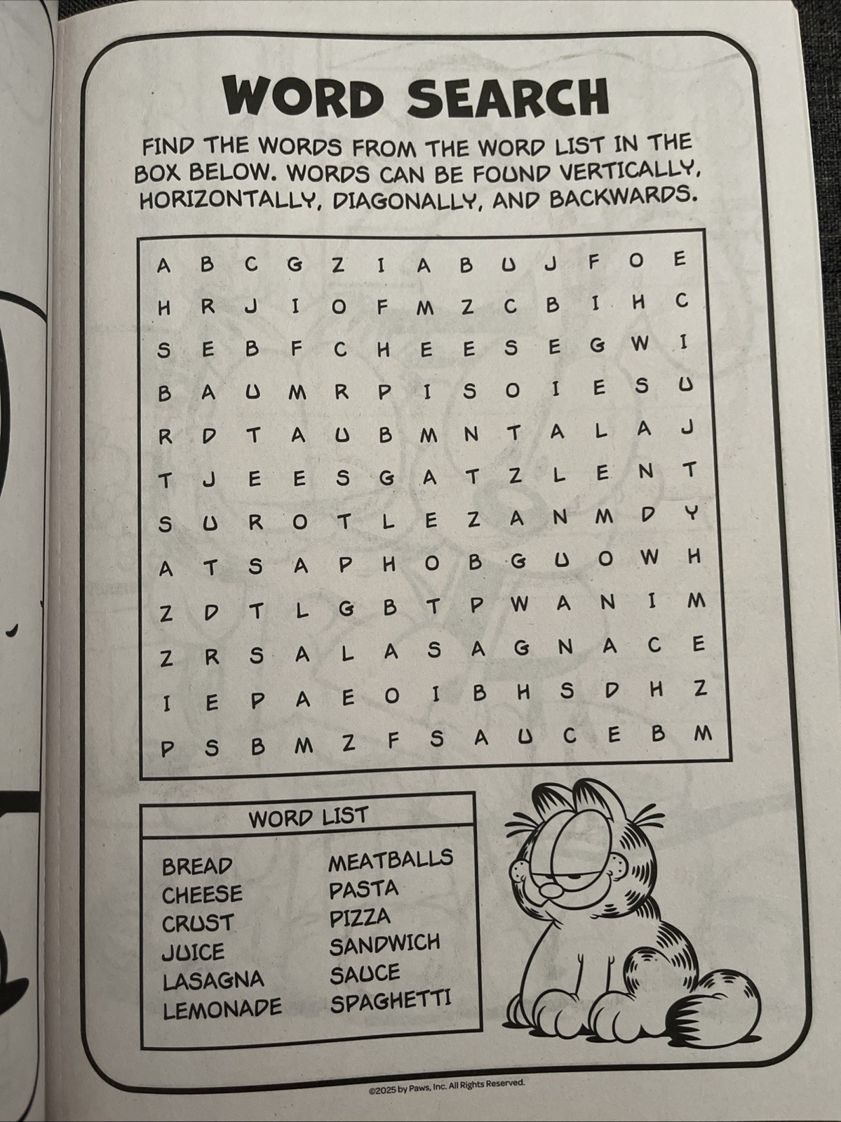 Garfield Jumbo Coloring & Activity Book Puzzles Games & Pages to Color Bendon
