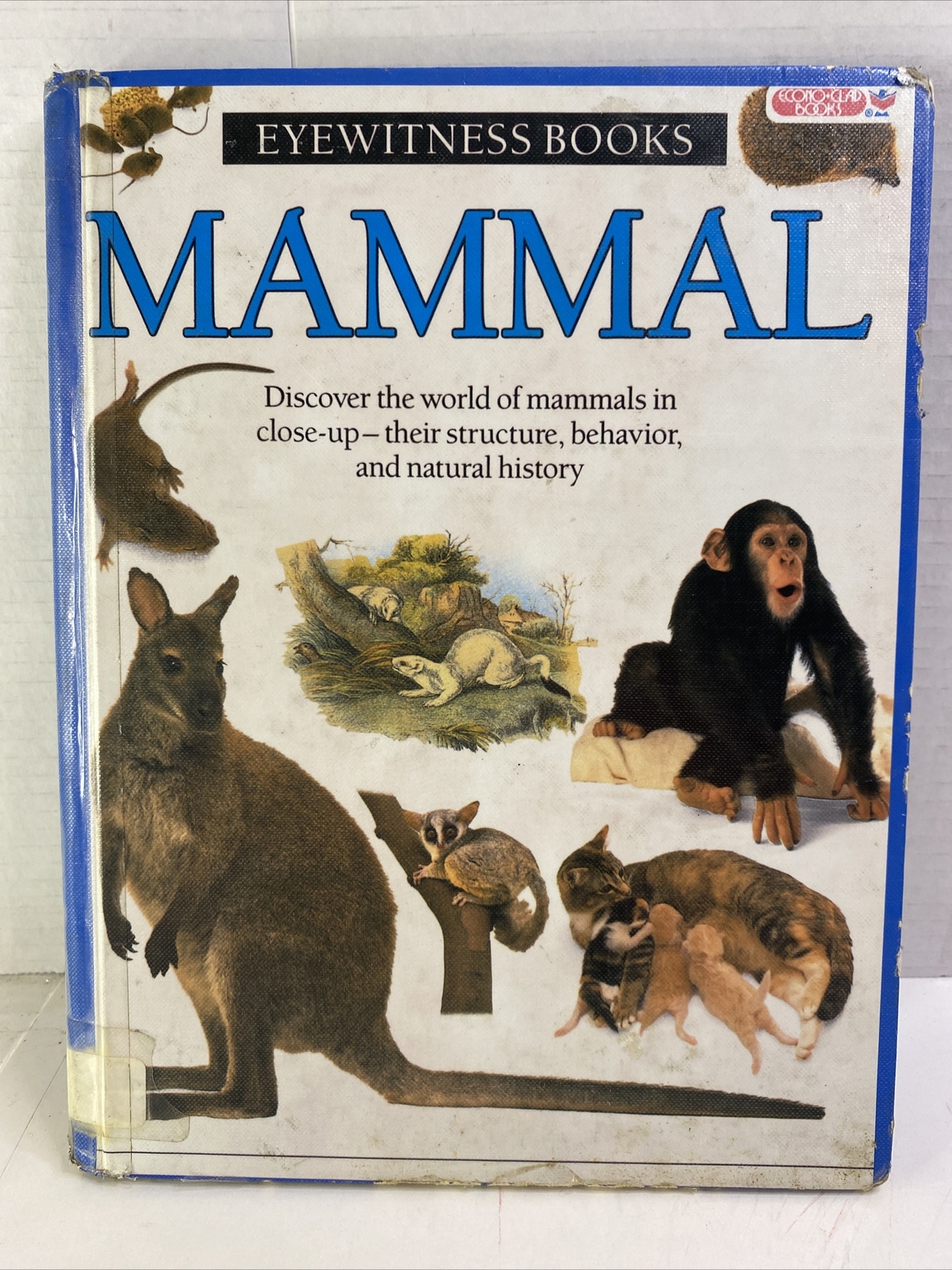 Mammal – Steve Parker (Hardcover, 1989)