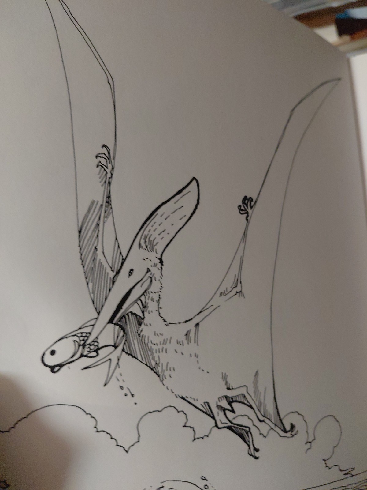 The dinosaur Coloring book Anthony Rao 1980 Vintage