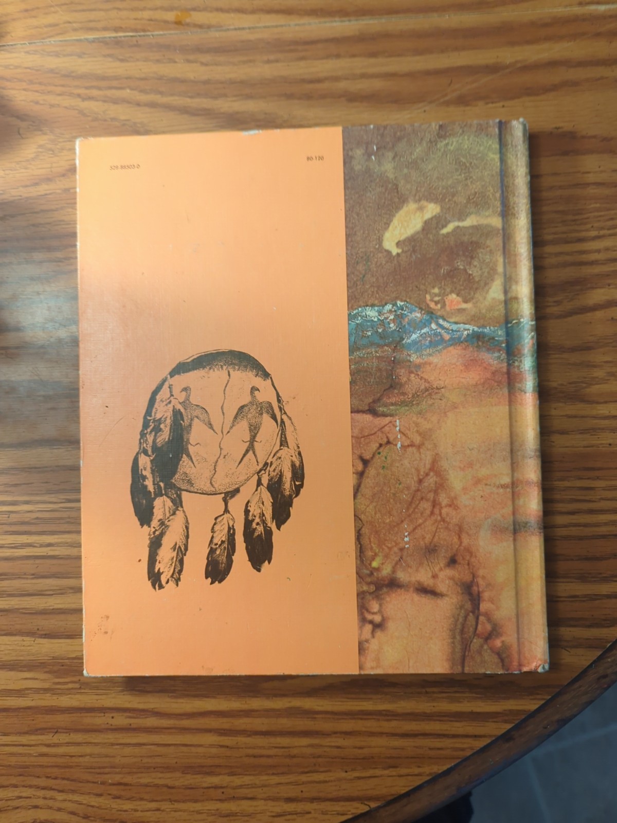 Moyer, FAMOUS INDIAN CHIEFS, 1972, HB, Color Illustrations, 92 Pages, 12x10in