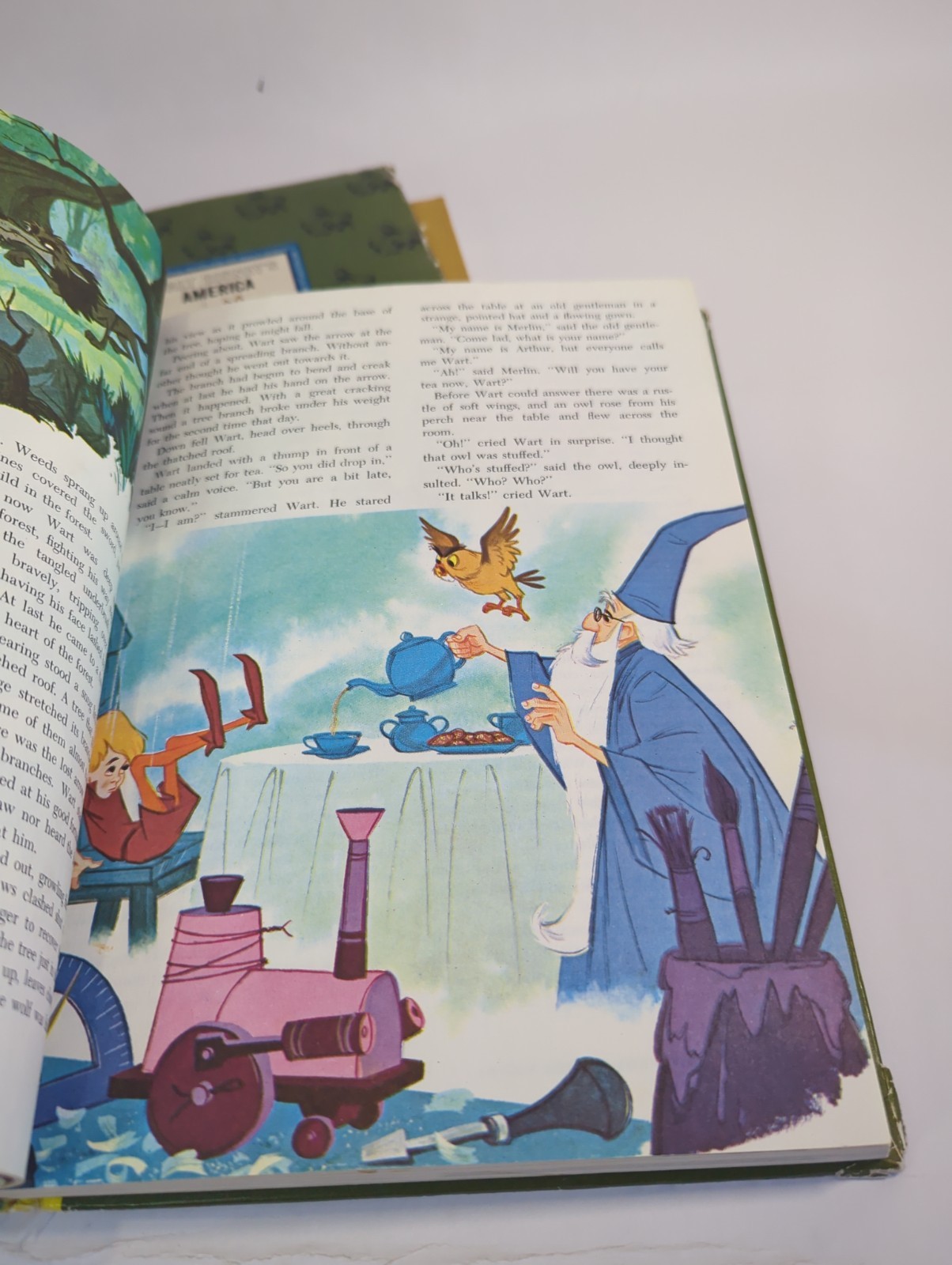 Lot Of 2 1965 Vintage The Wonderful Worlds of Walt Disney Golden Press