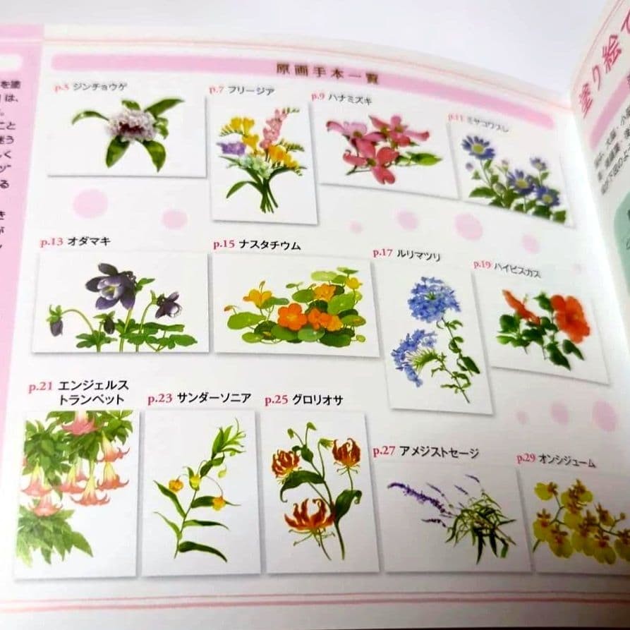 Coloring Book Flowers Postcards 5.5×3.6in Floral Designs