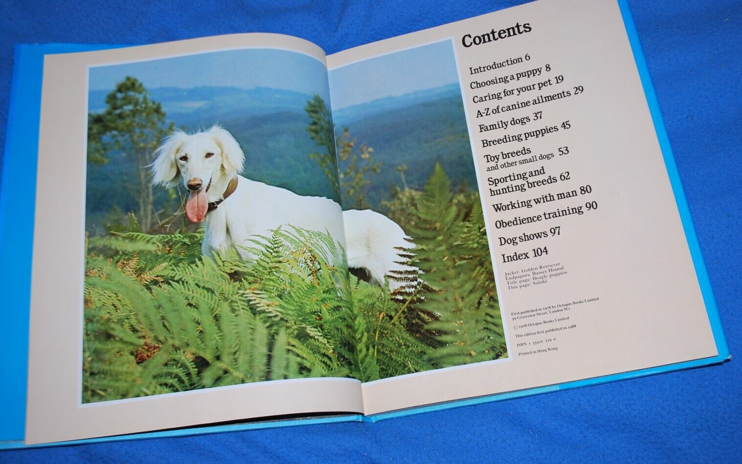 DOGS (1978 oversized hardcover w dj) David Squire Fast Free Ship