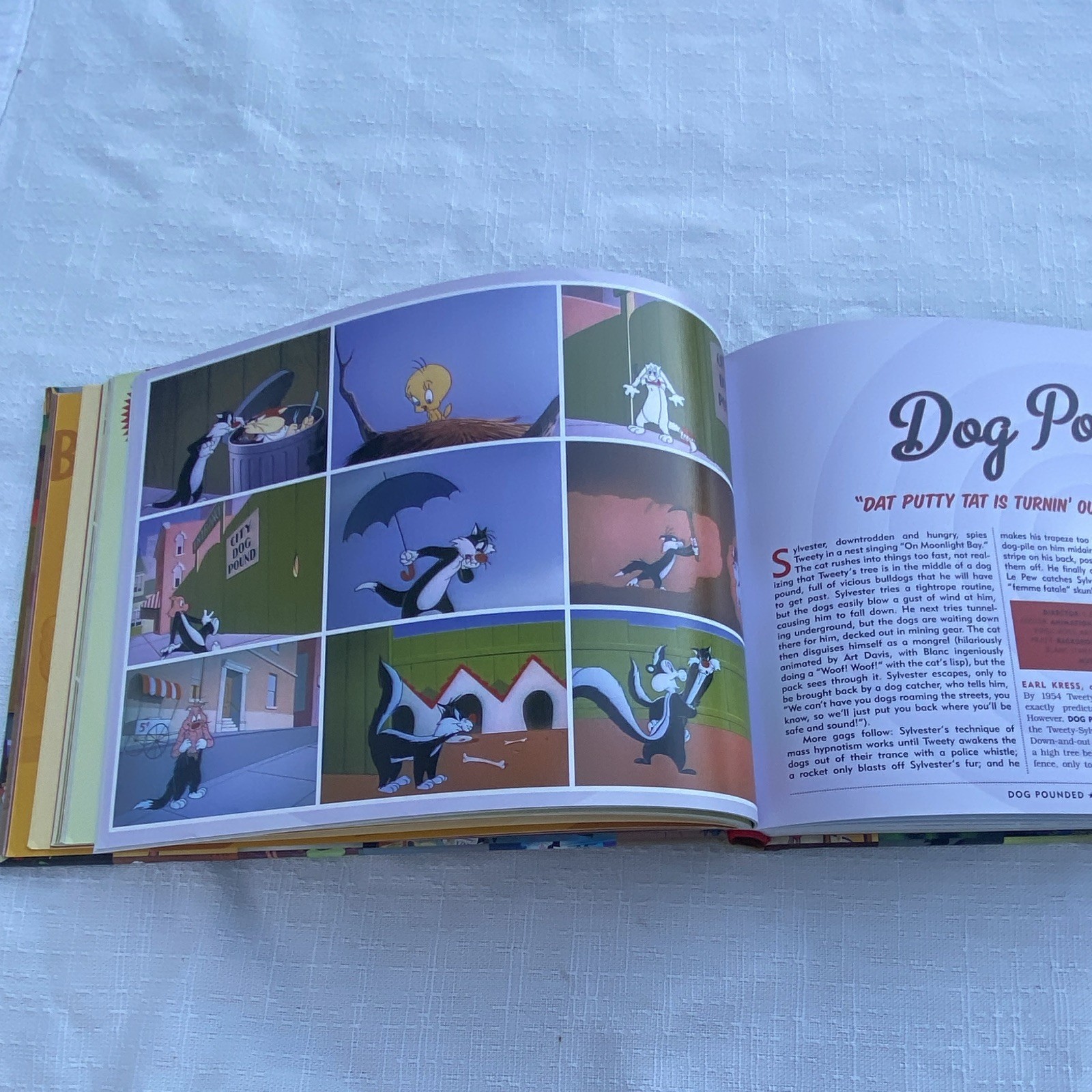 Insight Editions The 100 Greatest Looney Tunes Cartoons Hardcover Illus 2010