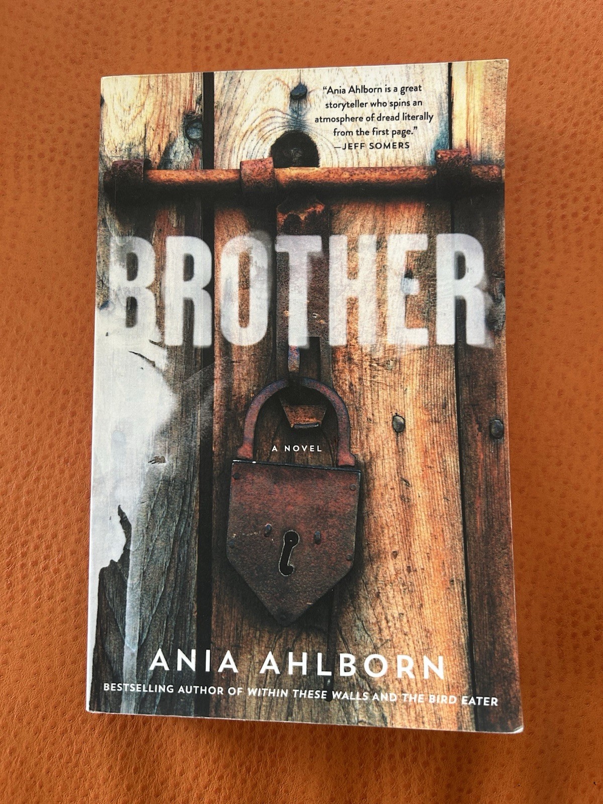 Brother by Ania Ahlborn (2015, Trade Paperback)