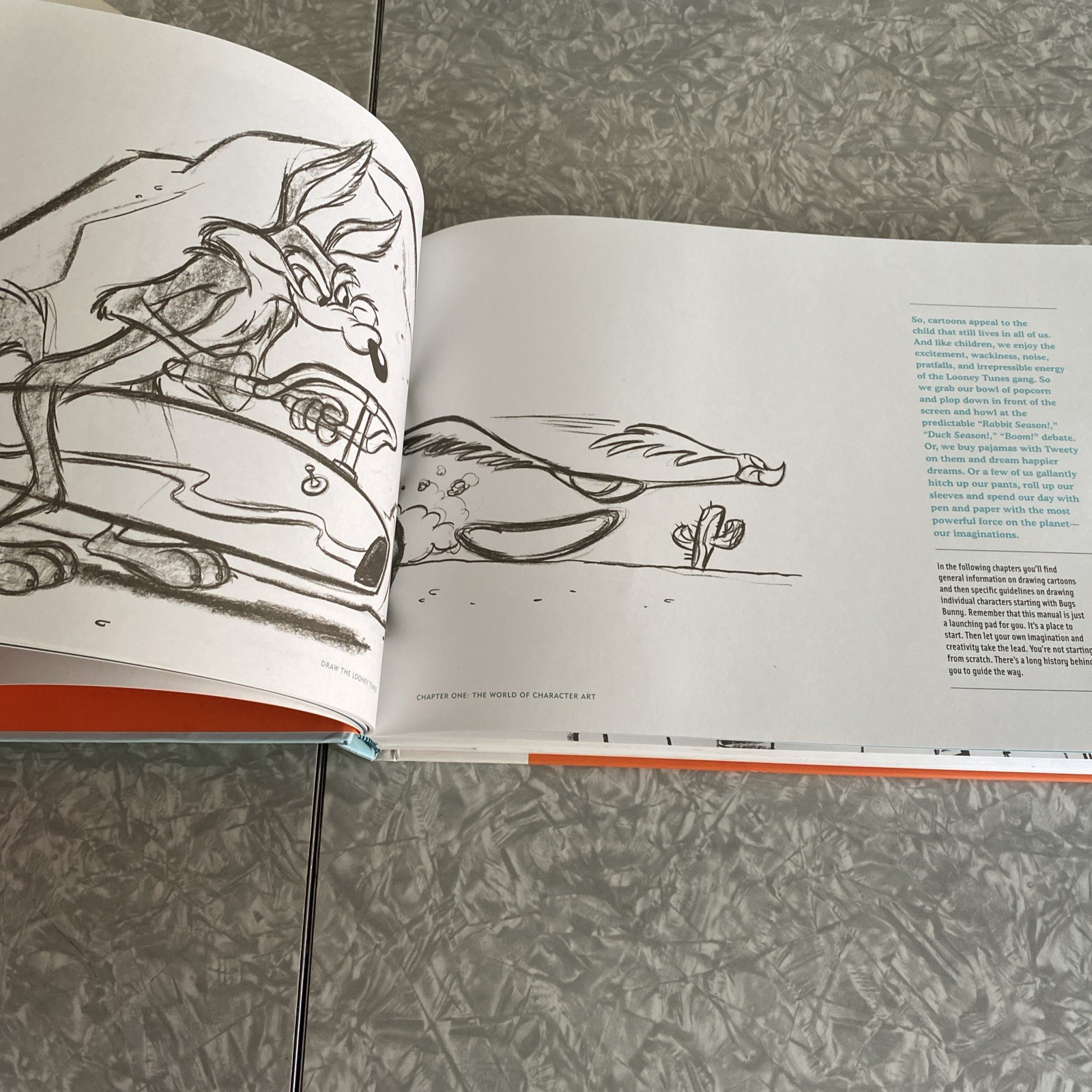Draw the Looney Tunes: Warner Brothers Character Design Manual First edition