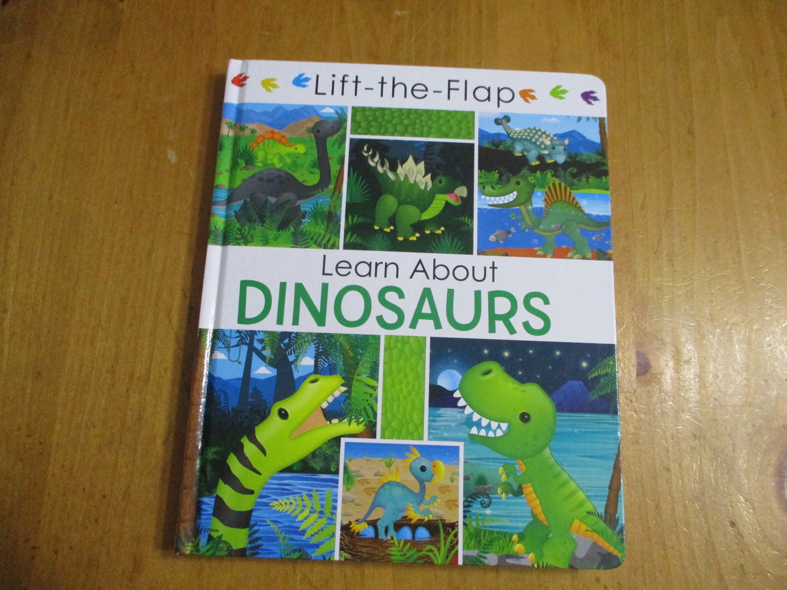 2-Kids Books Learn About Dinosaurs Lift The Flap & How To Catch a Dinosaur