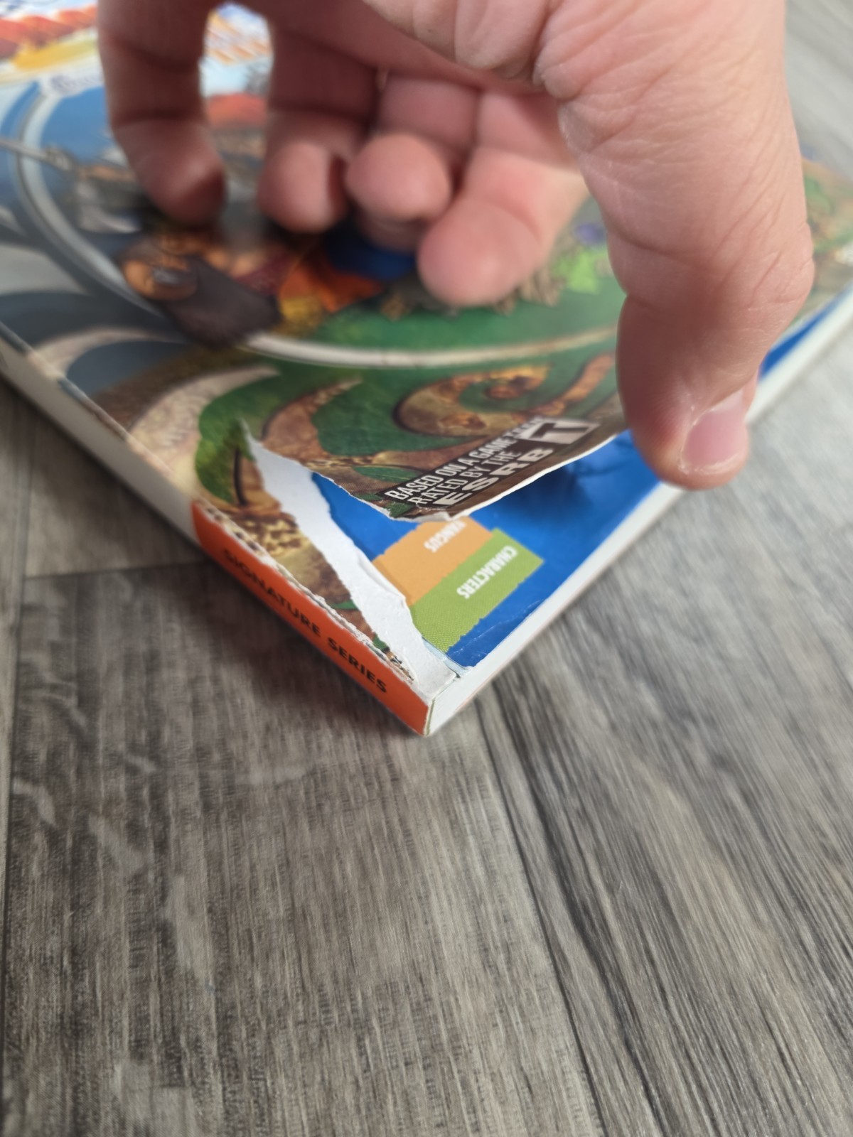 Dragon Quest VIII: Journey of the Cursed King Bradygames