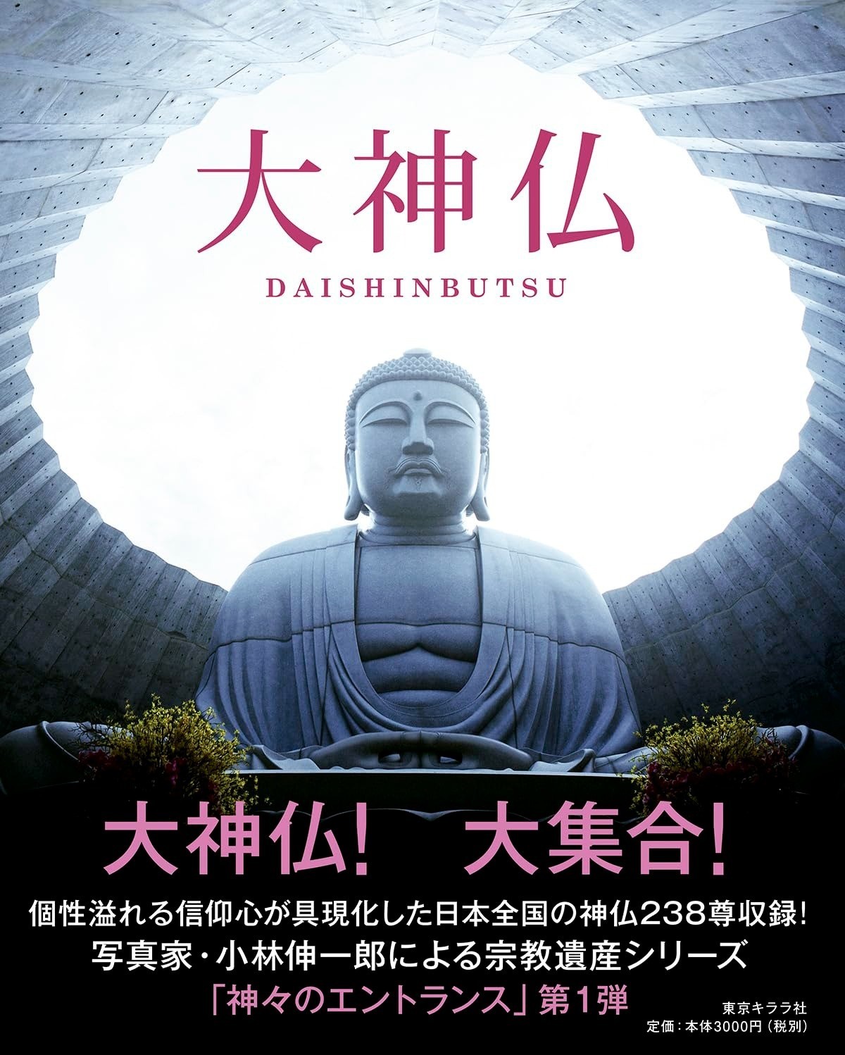 DAISHINBUTSU Buddha Gathering of Great Statues in by JP Shinichiro, K. Photo Art