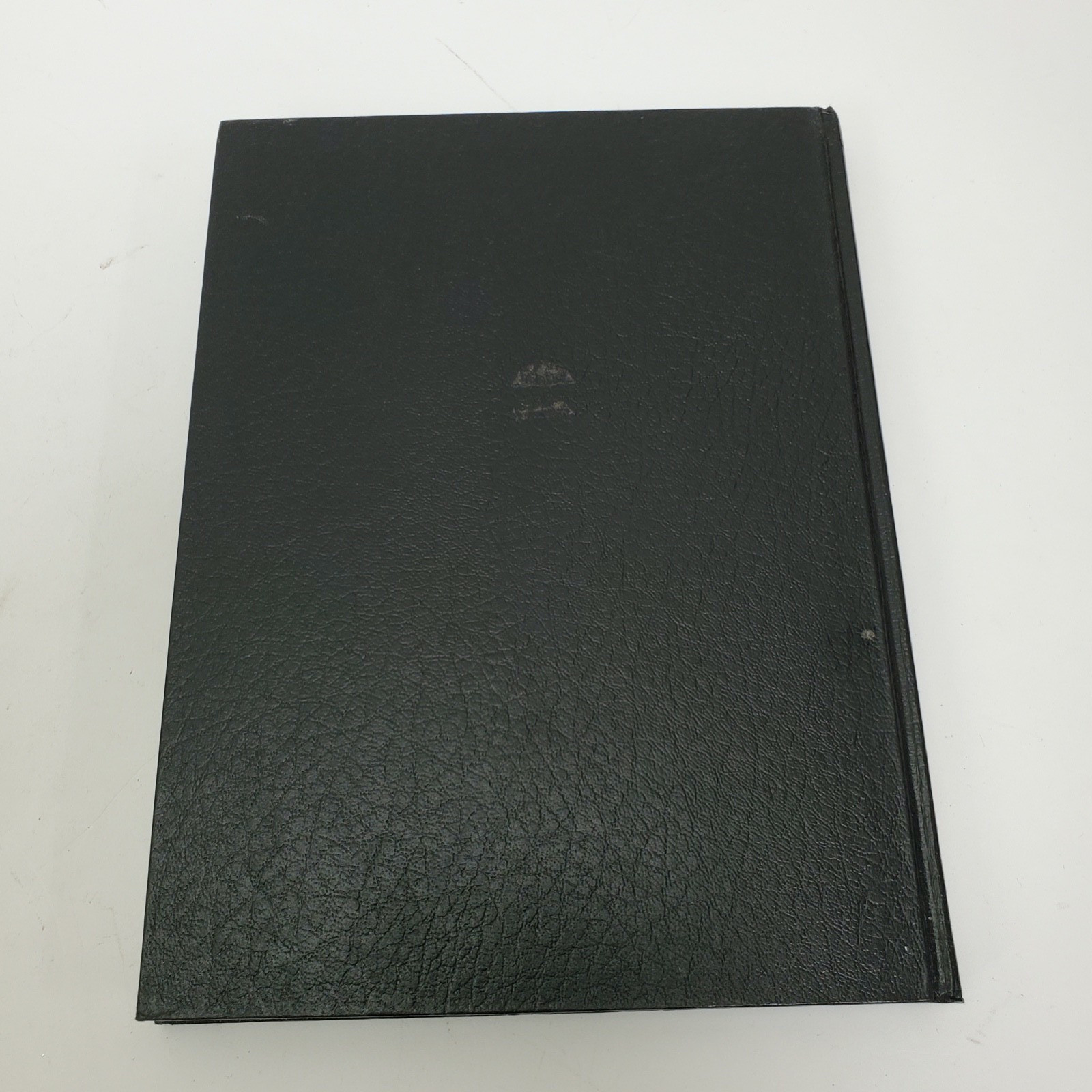 David Byrne Strange Ritual 1995 Hardcover 1st Edition Art Photo Talking Heads