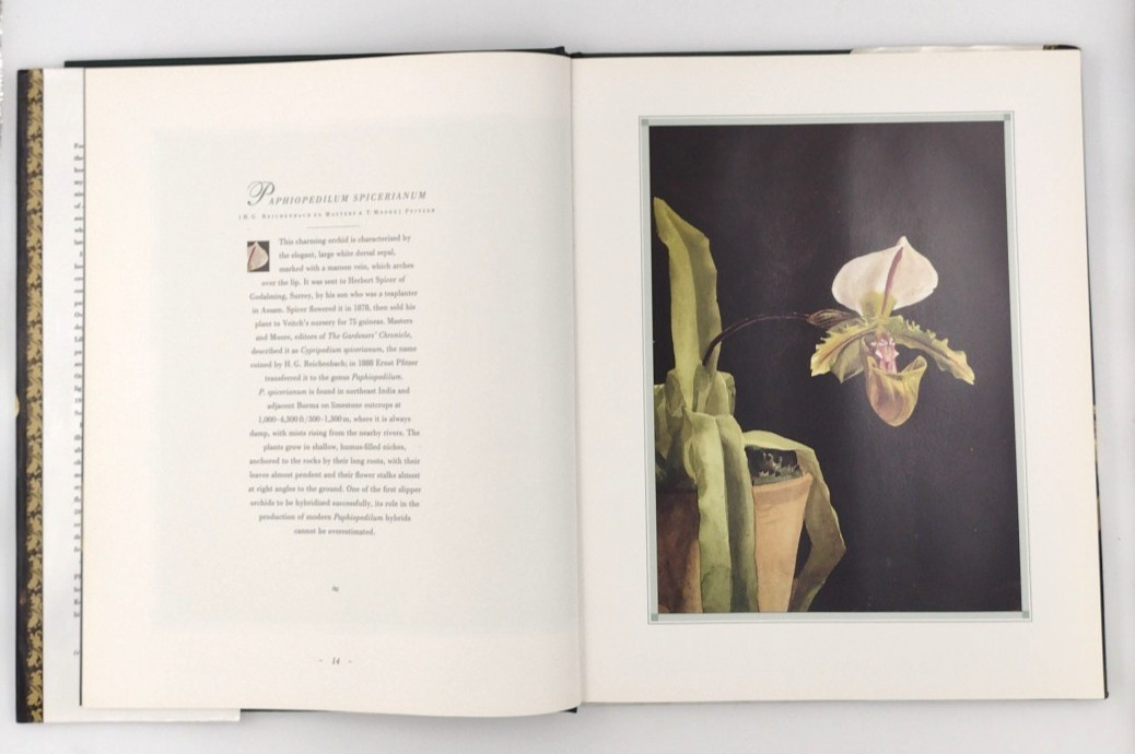 The Forgotten Orchids Of Alexandre Brun Hardcover Book 159 Pages 1992
