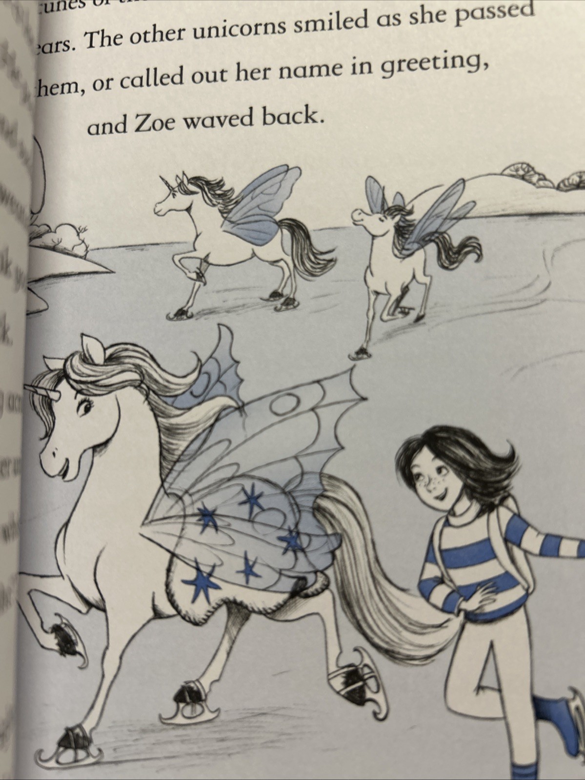 Fairy Unicorns Book Series Set of 9 Paperbacks by Zanna Davidson