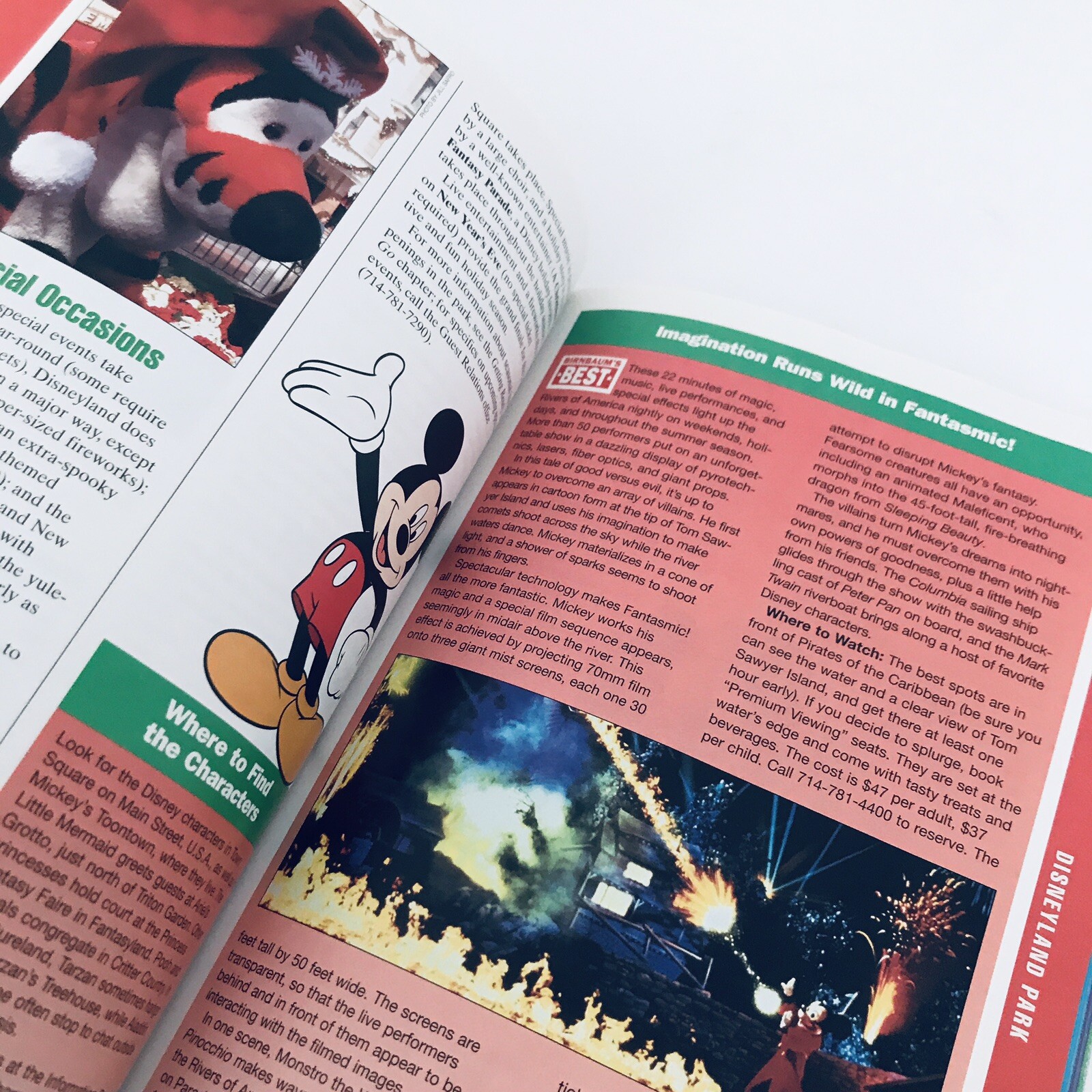 VTG Travel Guide Map For Disneyland Calif Resort 158 Pages By Birnbaum 2009 EUC