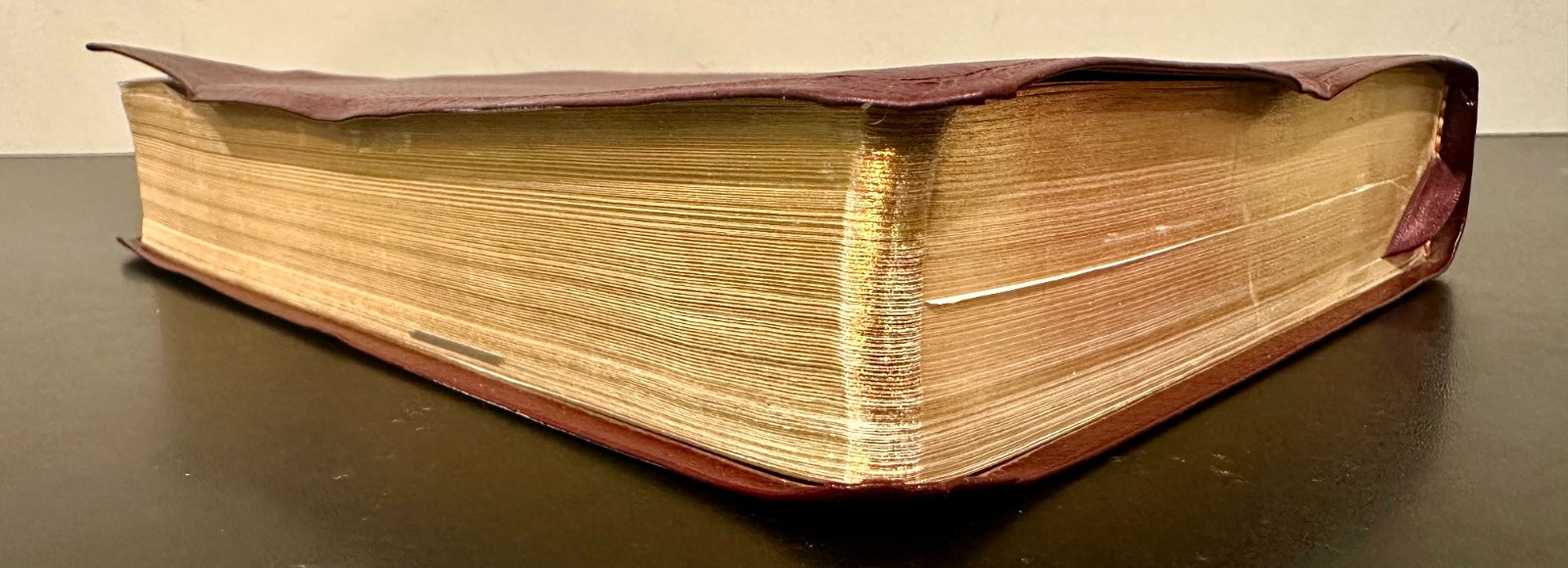 The Student Bible NIV Zondervan (1996, Bonded Leather)