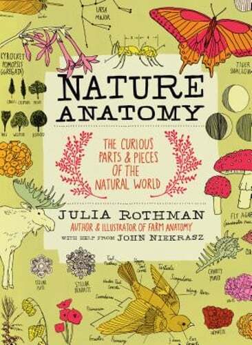 Nature Anatomy: The Curious Parts and Pieces of the Natural World by Rothman