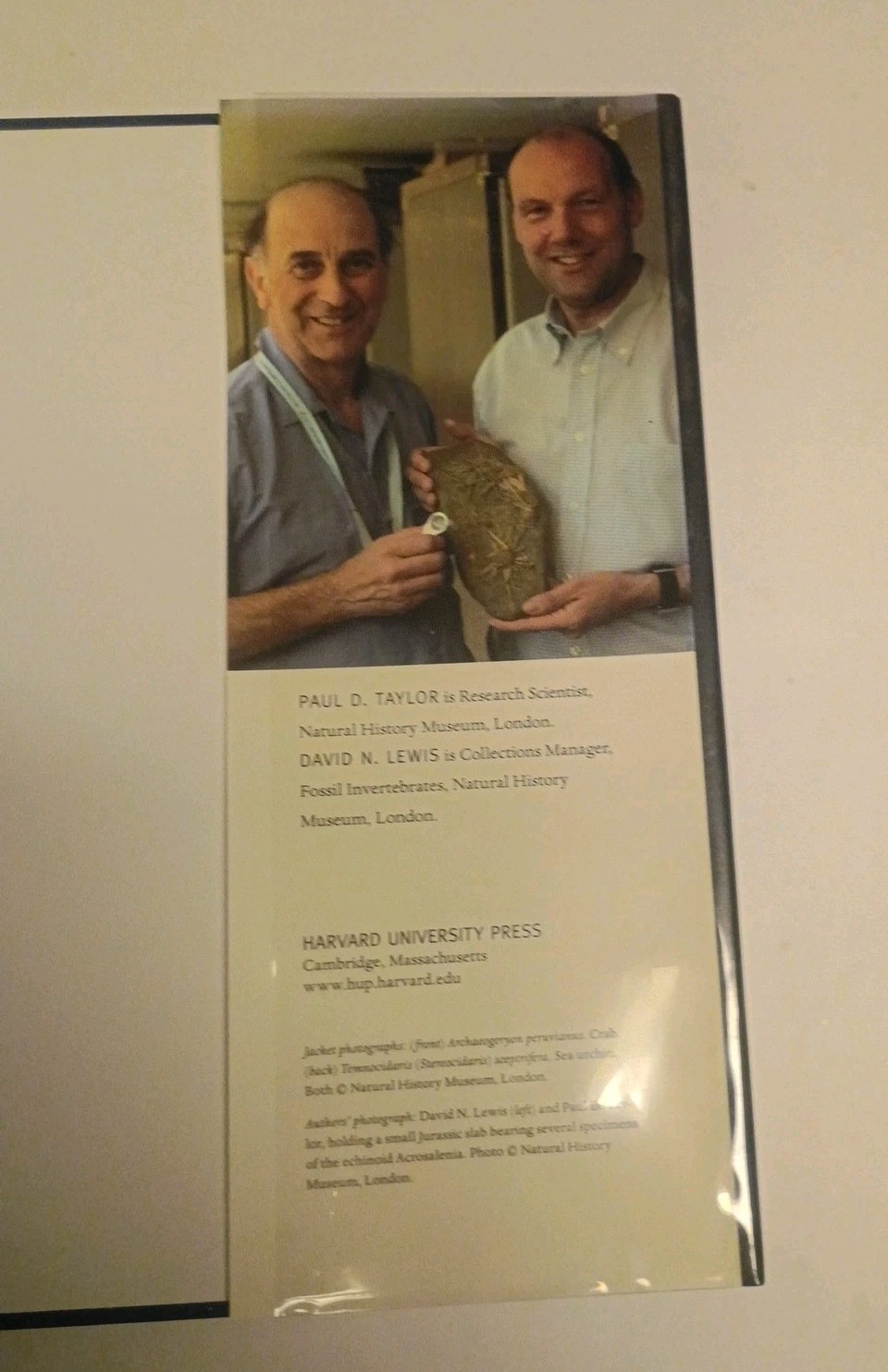 Fossil Invertebrates HC DJ Taylor, Paul D. and Lewis, David N. Harvard Universit
