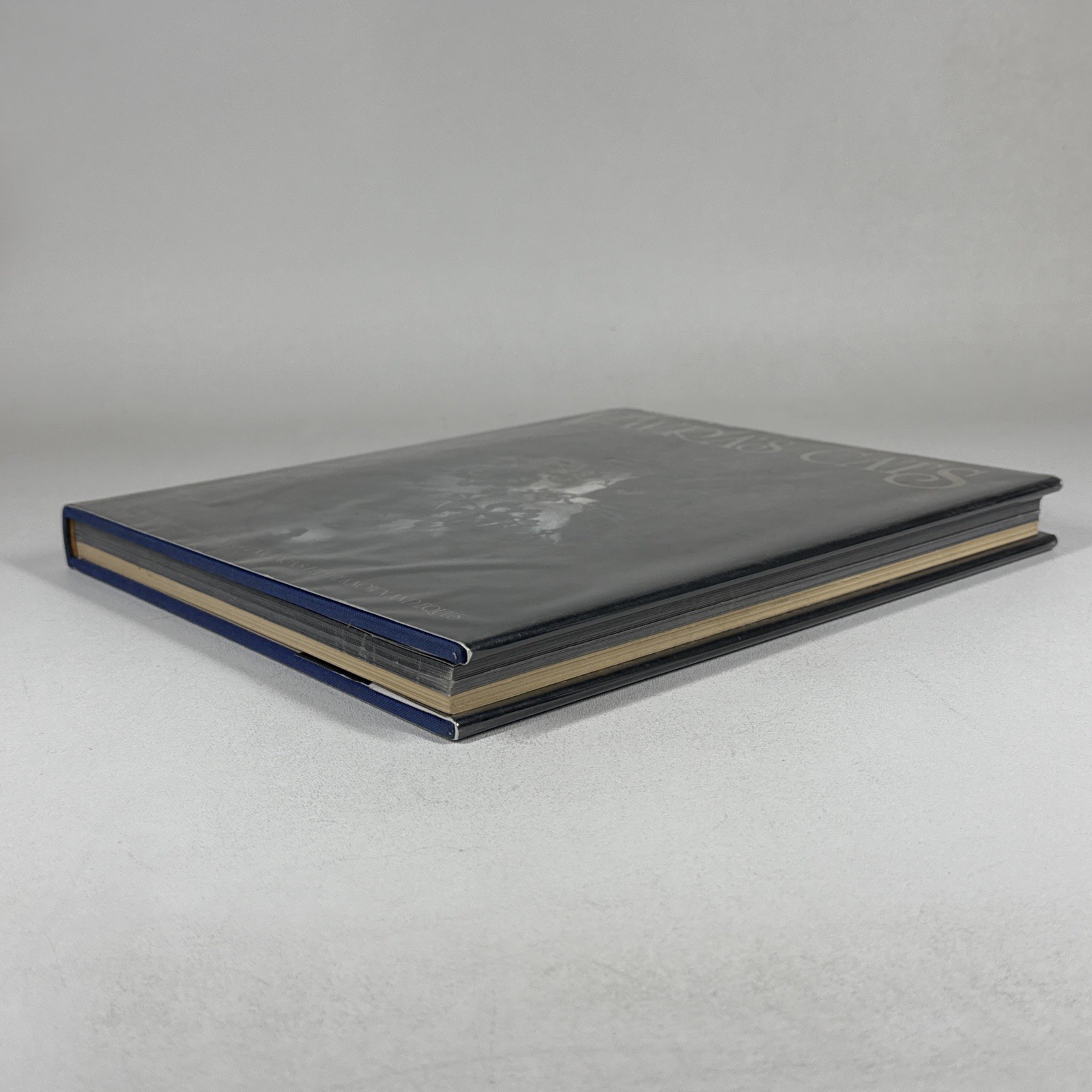 Vavras Cats Robert Vavra Photography Signed 1986 1st Ed Hardcover DJ