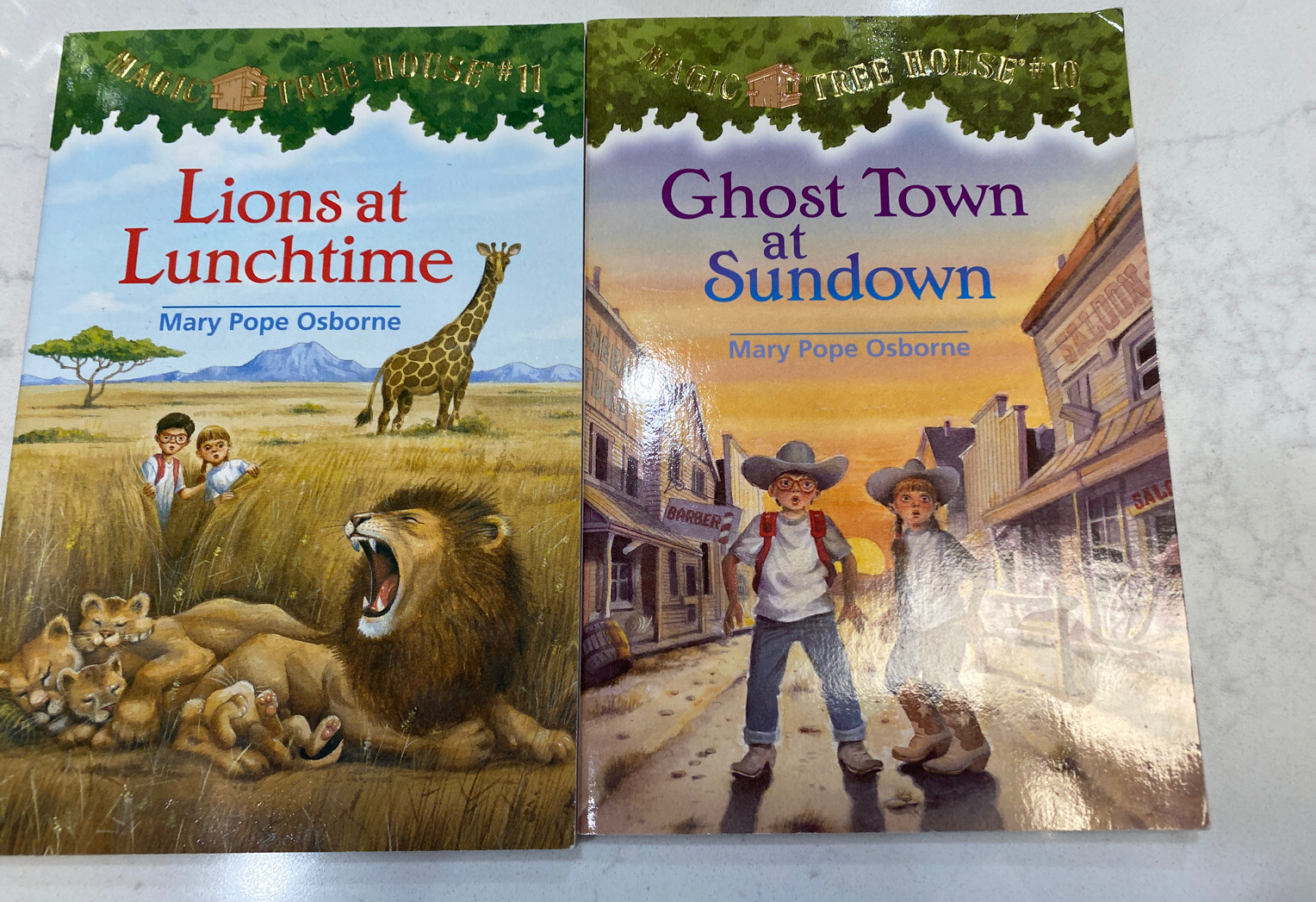Lions at Lunchtime (Magic Tree House),No.11 Ghost Town At Sundown No.10