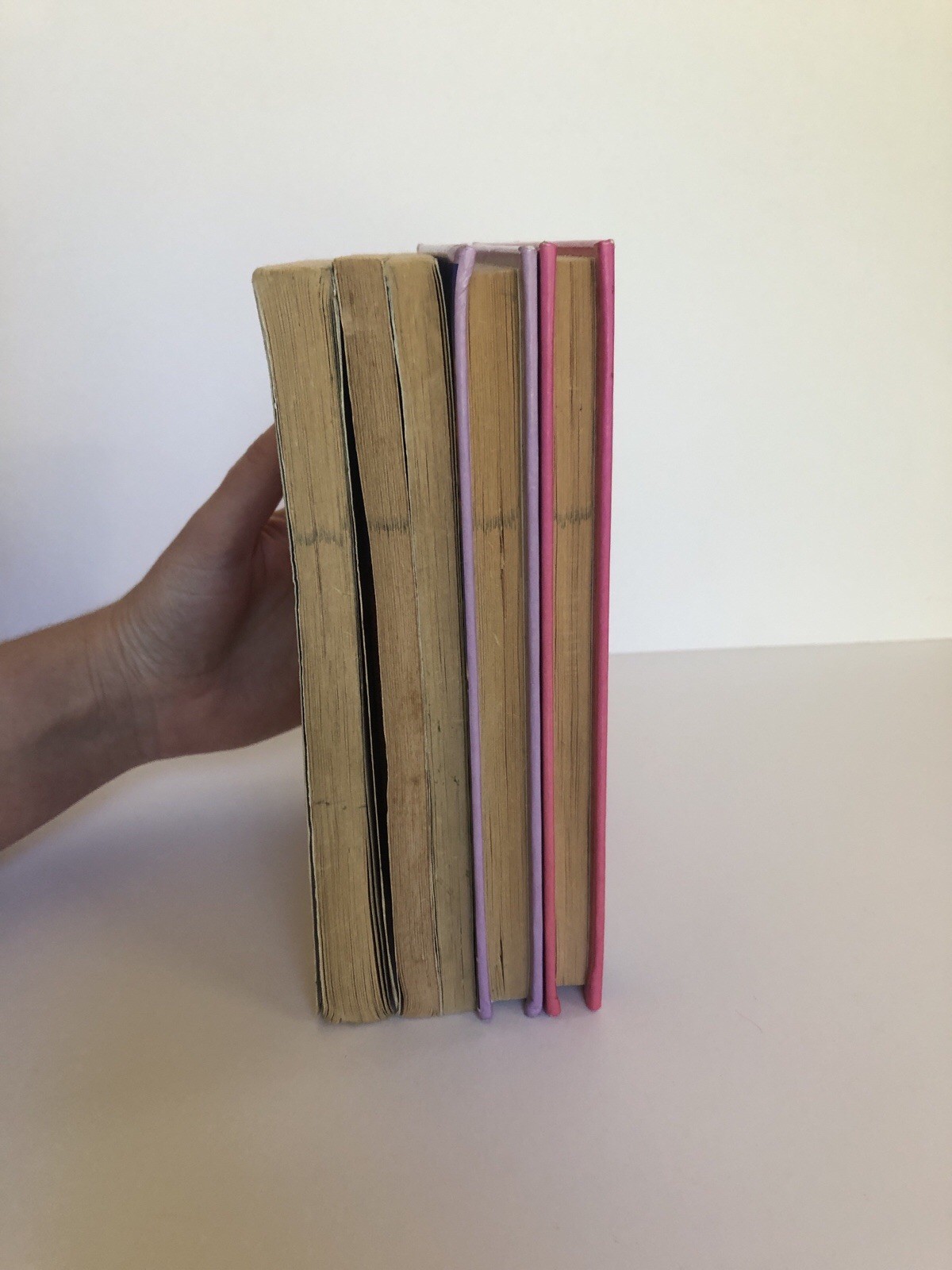 Animorphs Book Lot K. A. Applegate Vintage 90s Y2K – The Journey