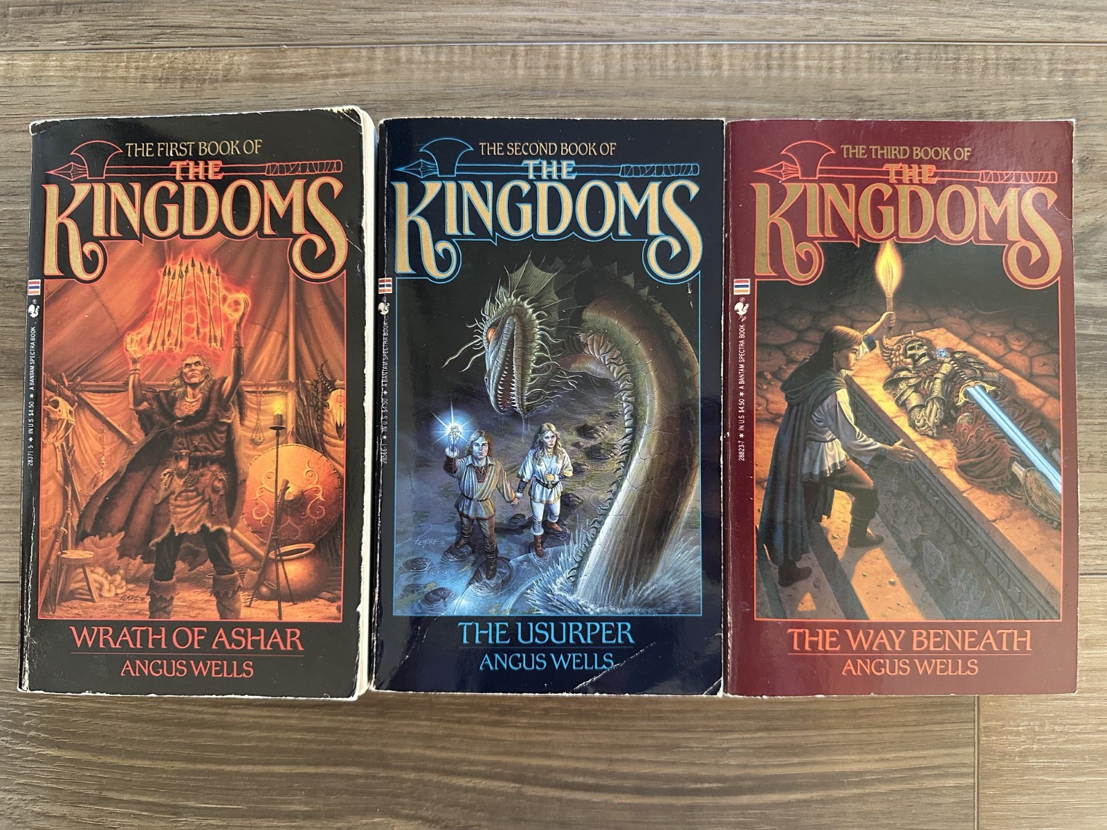 Angus Wells Books of the Kingdoms Trilogy Complete Set Wrath of Ashar PB