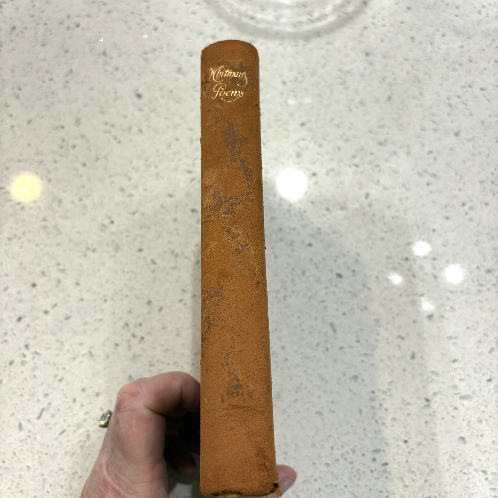 The Poems Of Walt Whitman Vintage 1902 Thomas Cromwell Company RARE