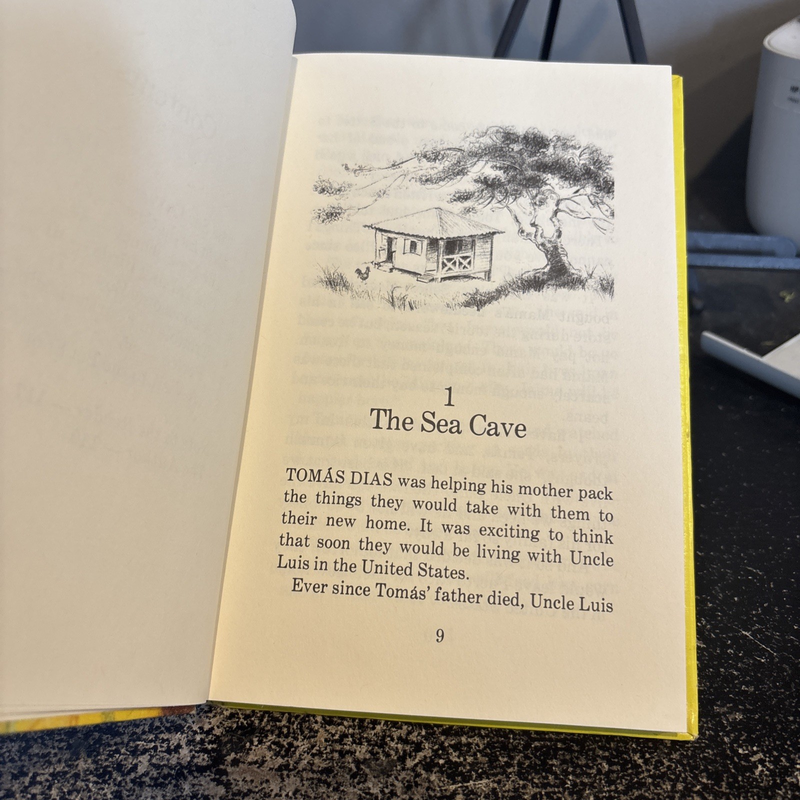 Tomas and the talking birds by Ruth Nulton Moore, 1979, Herald Press Puerto Rico