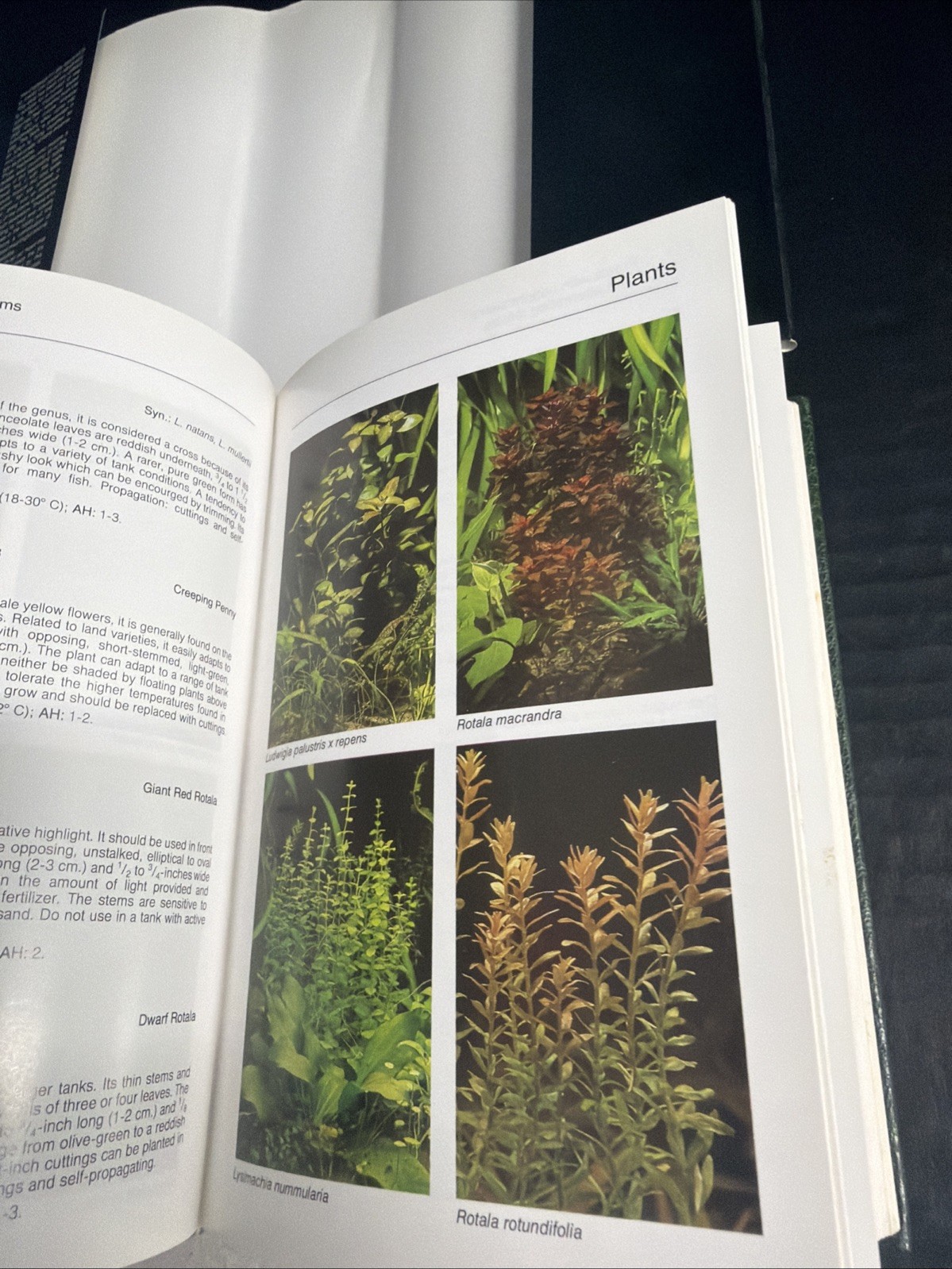 Baensch Aquarium Atlas Volume 1 Hardback