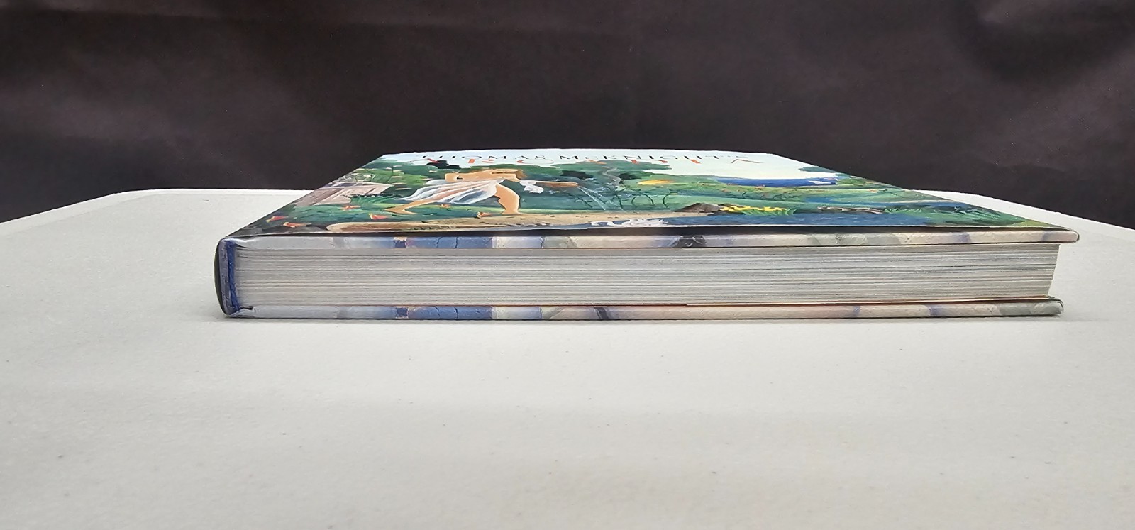 Thomas Mcknight’s Arcadia by Francesco Colonna Hardcover