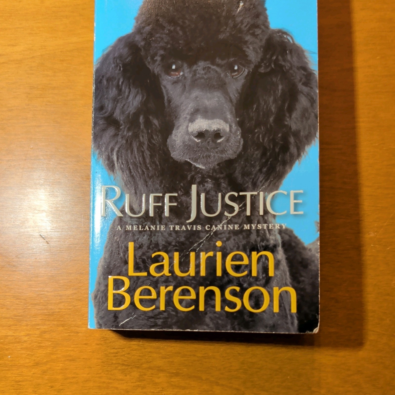 Lot of 14 – Cozy Mysteries – Mixed Authors – Joanne Fluke, Diane Kelly, and more