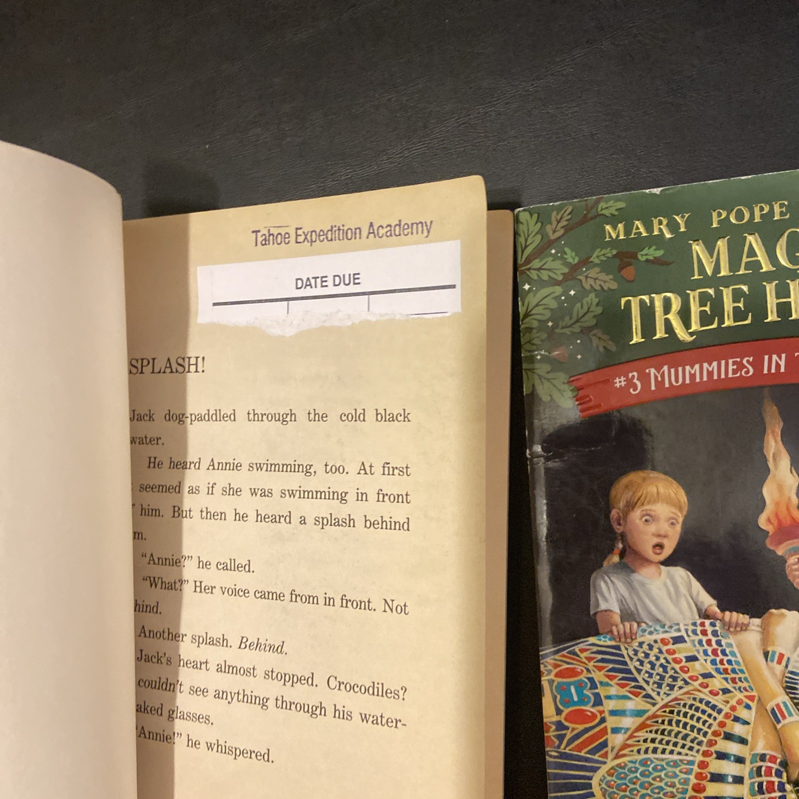Magic Tree House + Merlin Missions + Research Guide Lot Of 51 PBs Acc-VG Cond