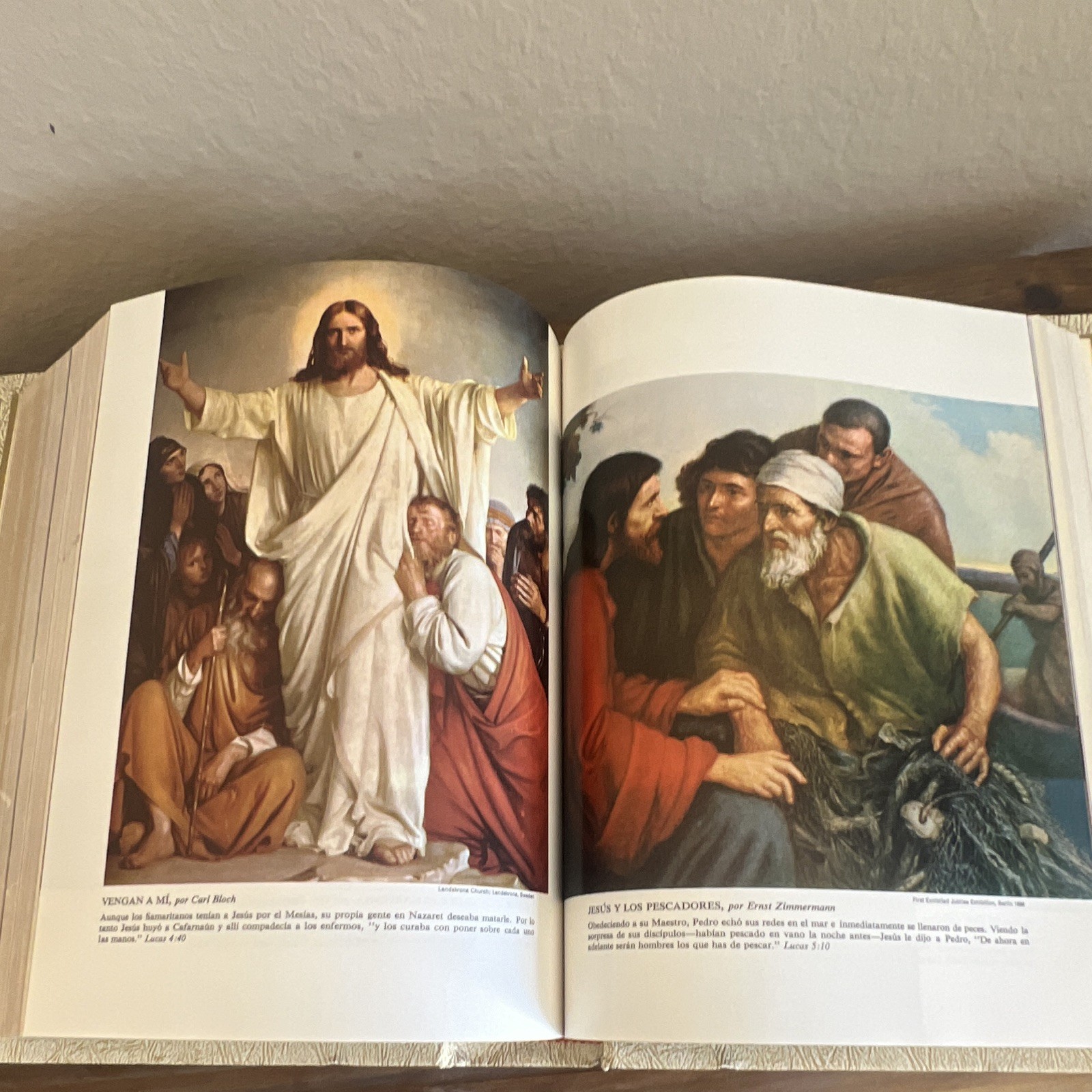 La Sagrada Biblia Felix Torres Amat Illustrated Family Bible Blank Record Like N