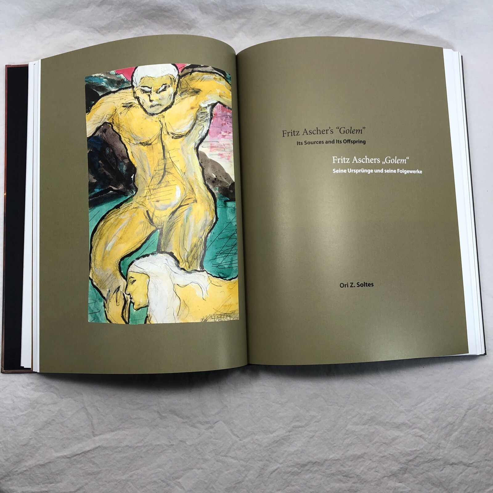 The Expressionist Fritz Ascher Leben Ist Gluhn Art Book English & German Hardcvr