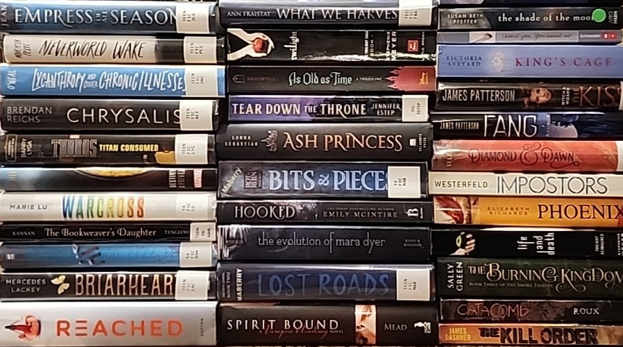 RANDOM MIX Lot of 25 Young Adults YA Teen ROMANTASY SCI-FI DYSTOPIAN PARANORMAL