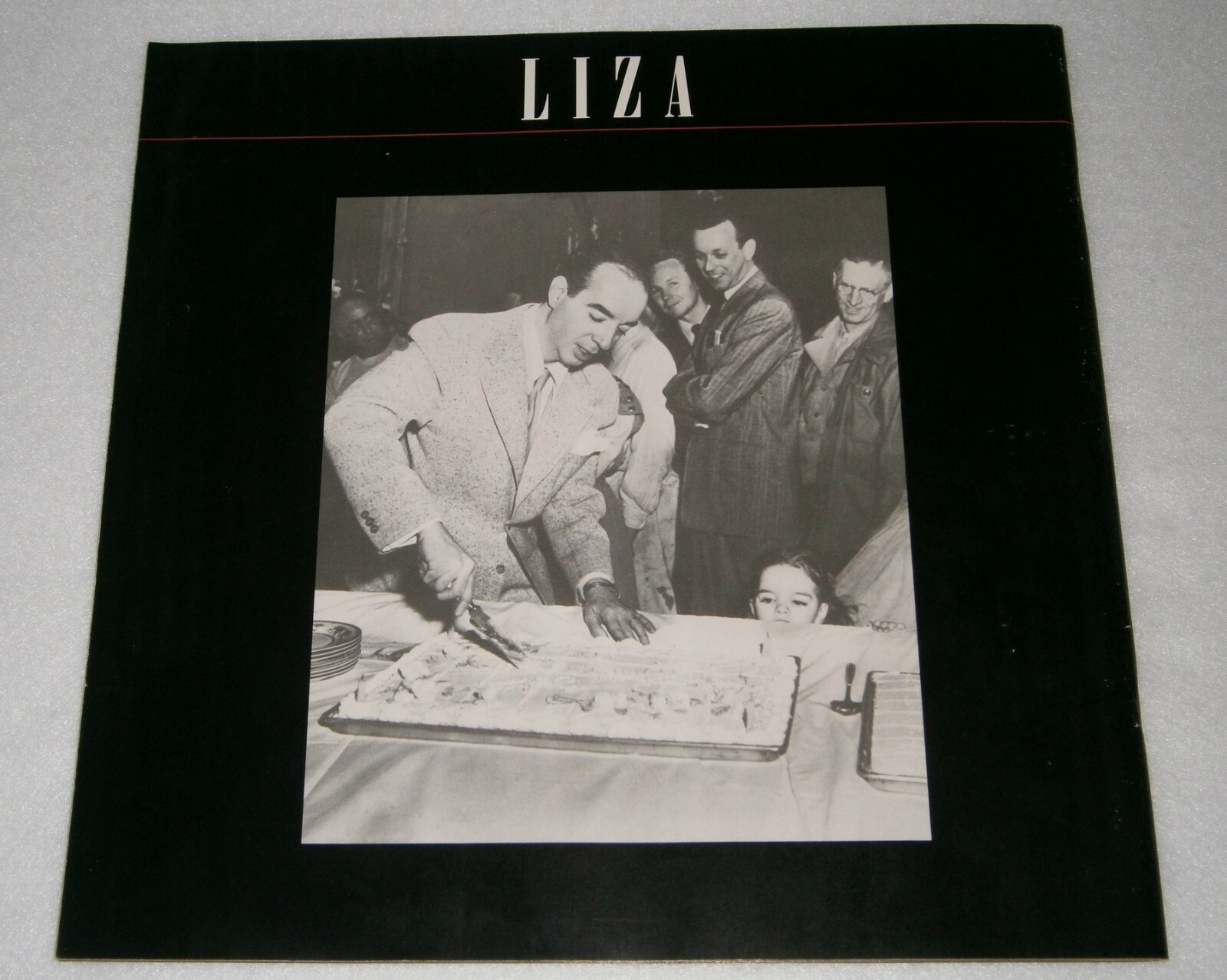 LIZA MINNELLI 12 x 12 PICTURE Booklet / REVIEW of MOVIES & SHOWS & FAMILY