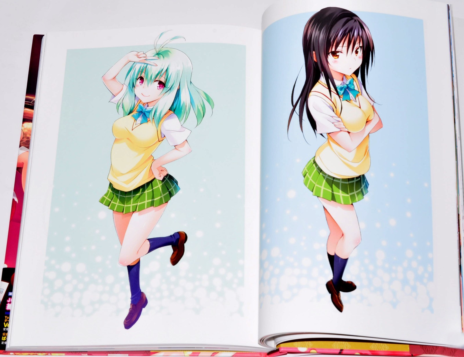 To Love-Ru Darkness Harem Gold Art Book Illustrations + Case 10th anniversary JP