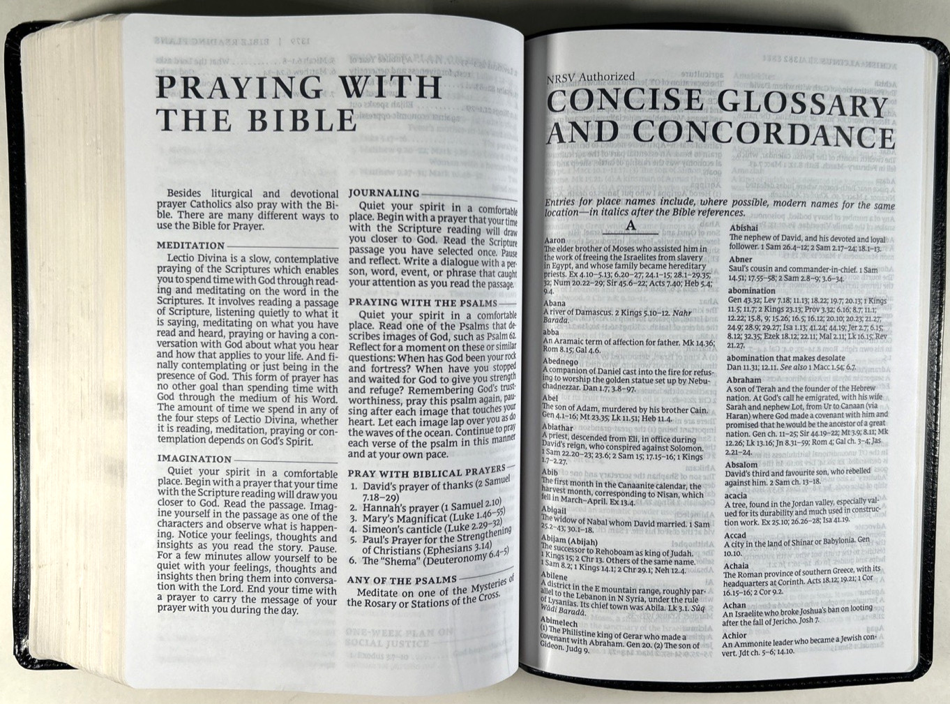 NRSV Catholic Bible Large Print Bible Black Leathersoft Catholic Bible Press VG