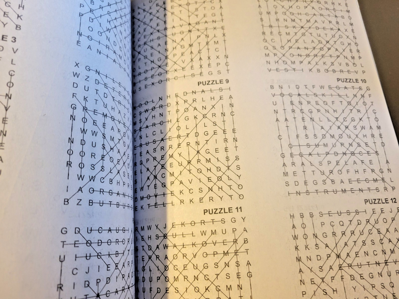 Lot of 2 Word-Search Large Print Puzzle Books-Kappa True Crime & Search & Circle