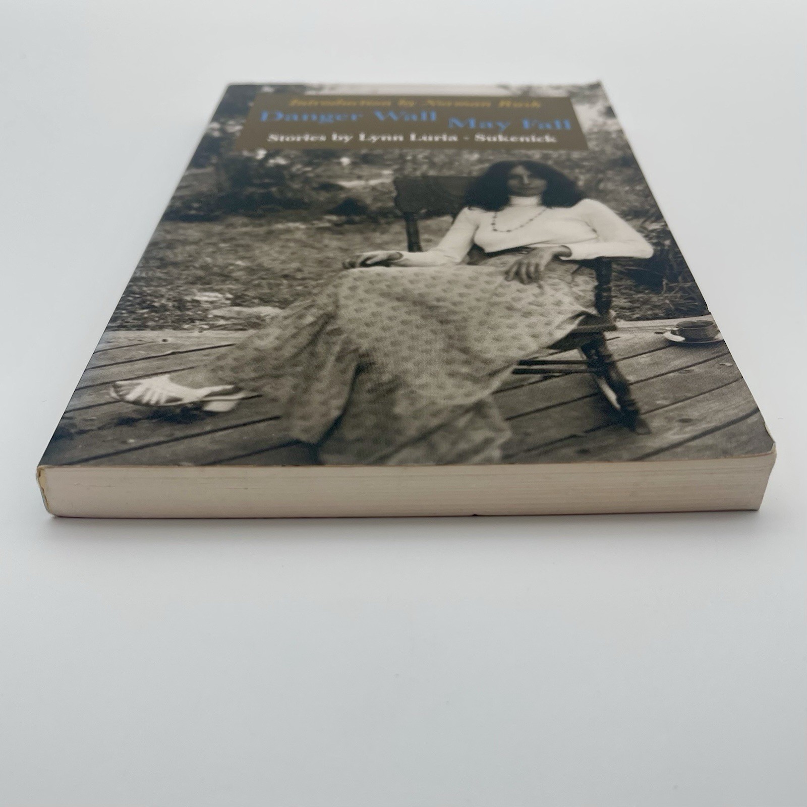 Danger Wall May Fall — Lynn Luria-Sukenick | Literary Short Stories