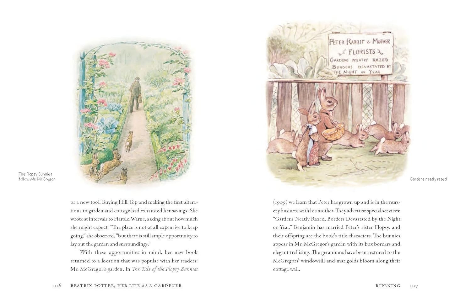 Beatrix Potter’s Gardening Life: The Plants and Places That Inspired the Classic