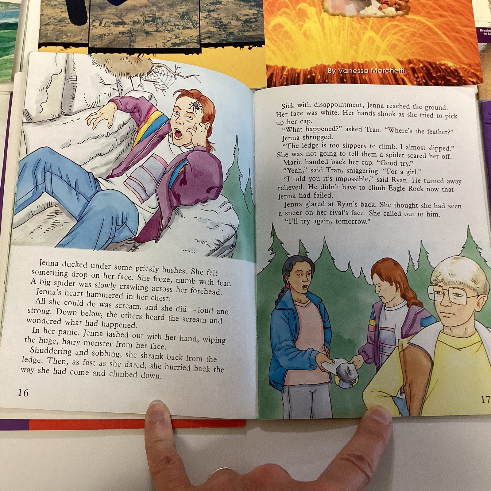 Sunshine Reader 2nd Grade 17 Book Lot Rigby Wright