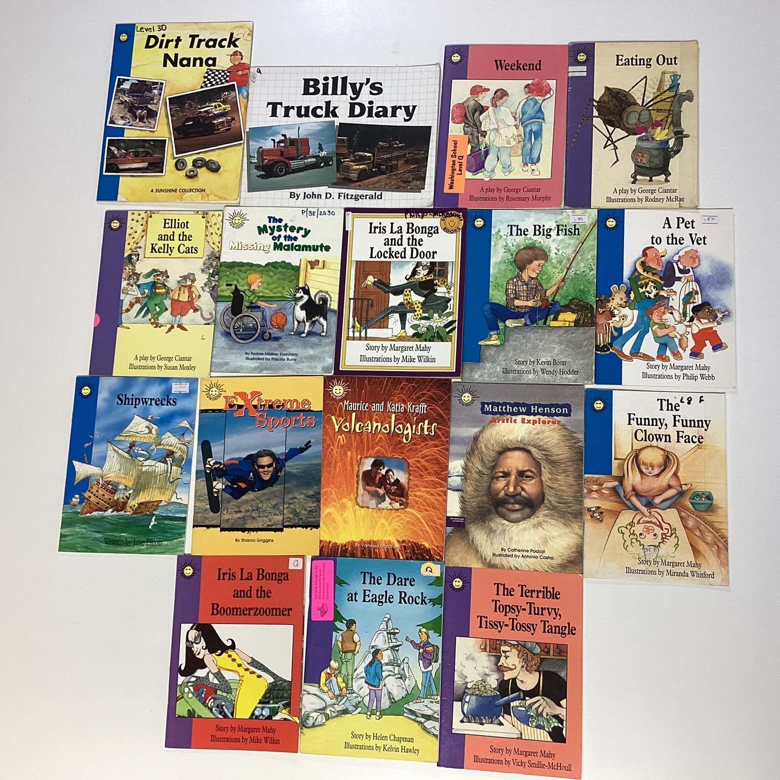 Sunshine Reader 2nd Grade 17 Book Lot Rigby Wright